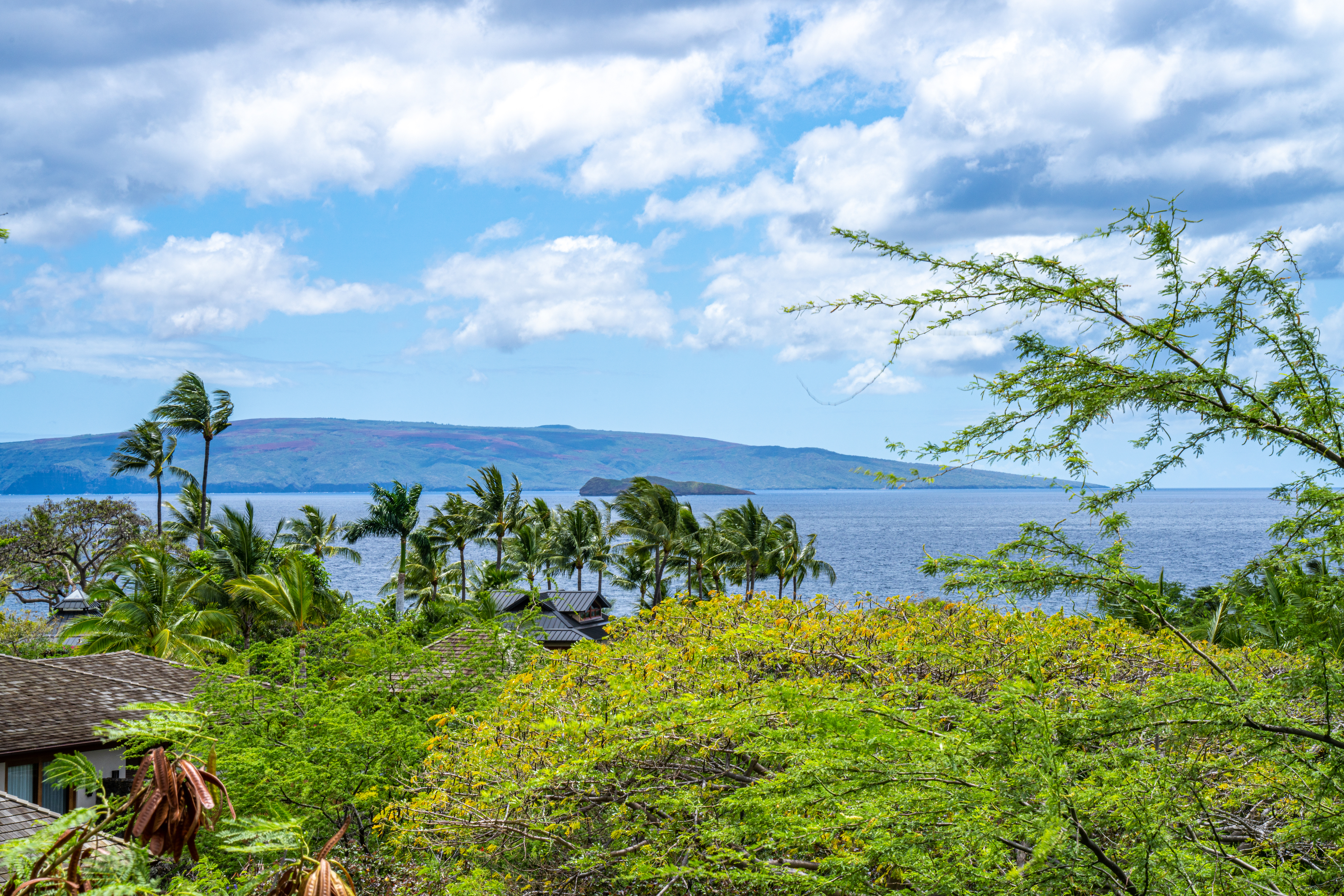4520 Makena Alanui Drive