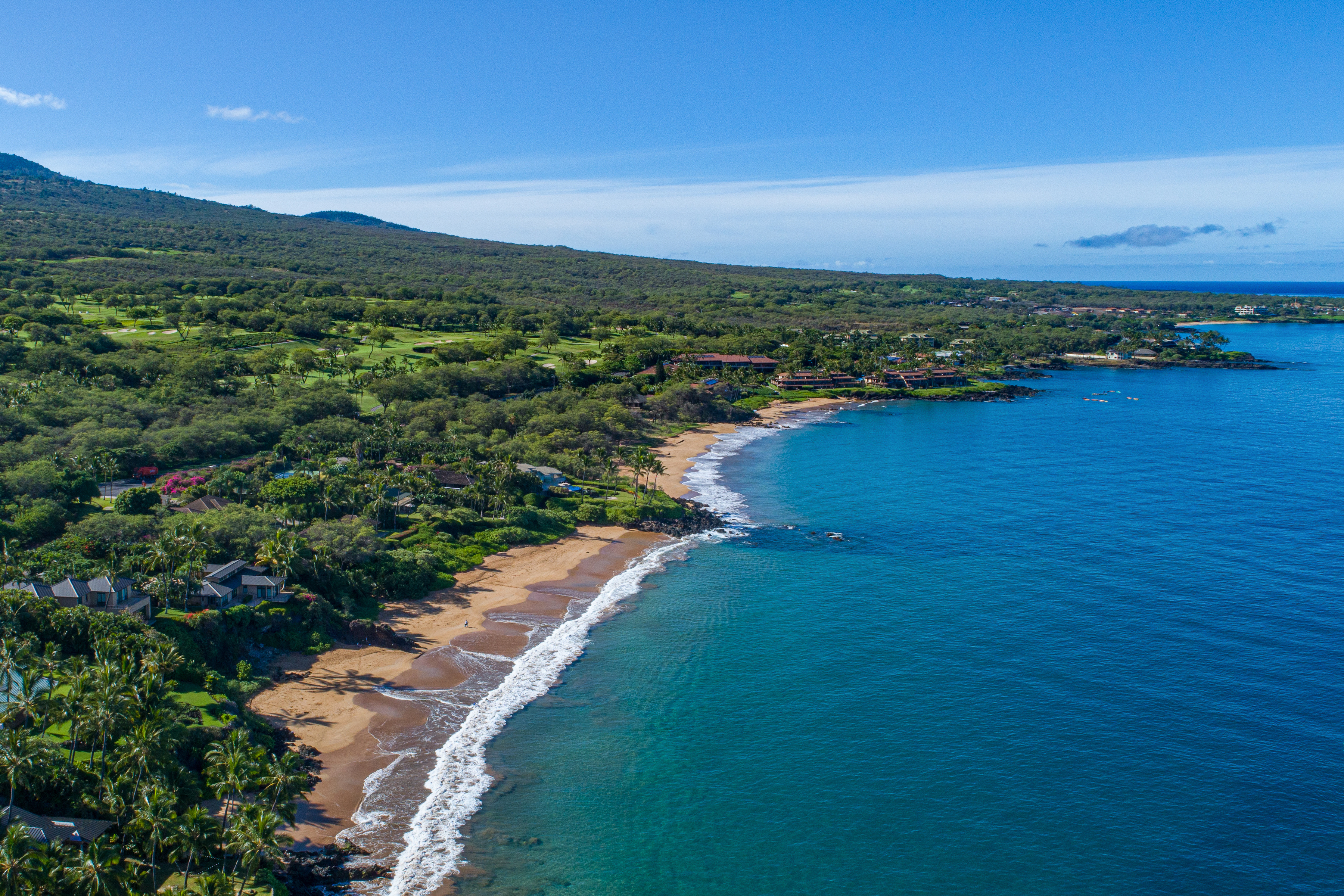 4520 Makena Alanui Drive
