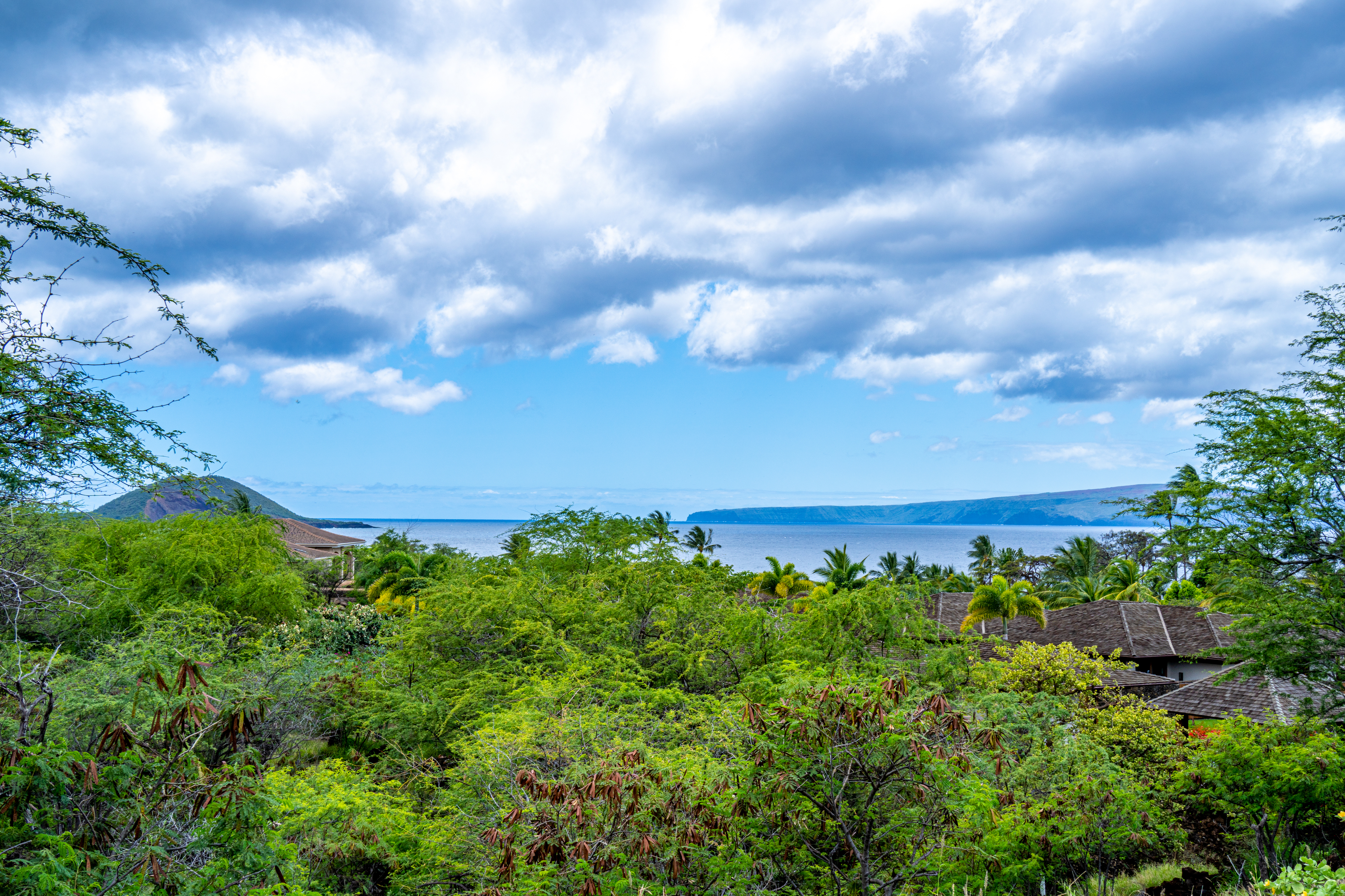 4520 Makena Alanui Drive