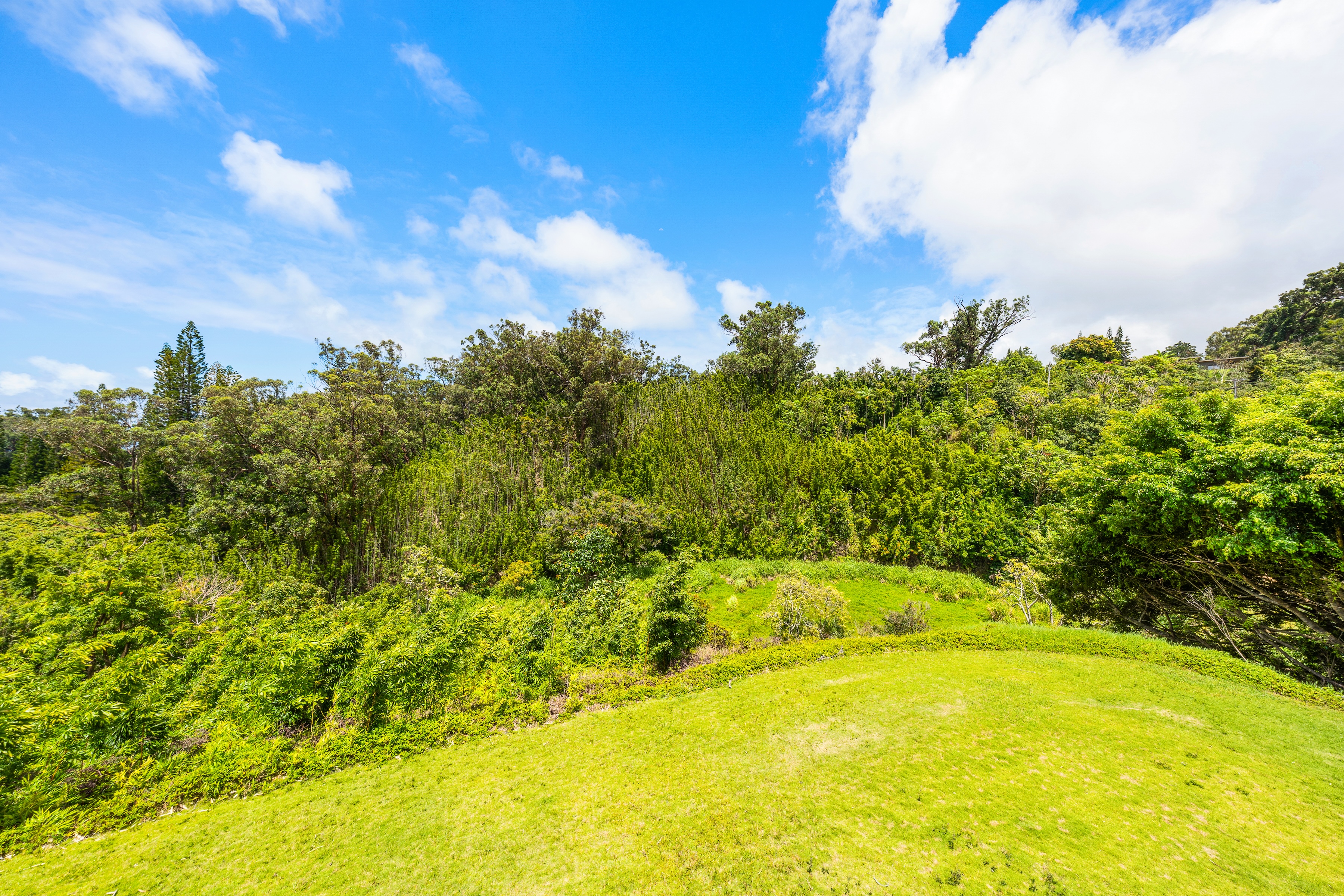 311 Awalau Road