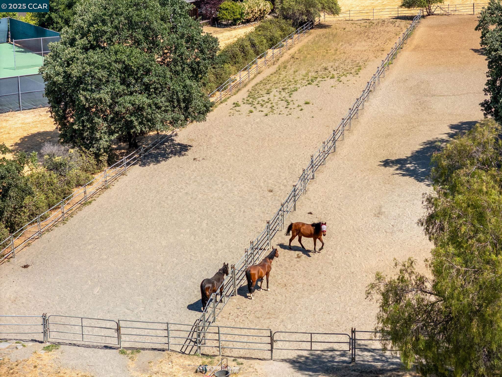 3165 Hambletonian Lane