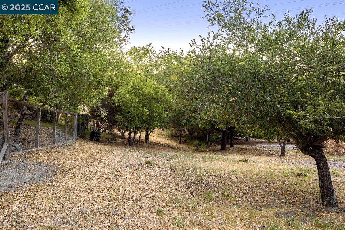 97 Oak Rd