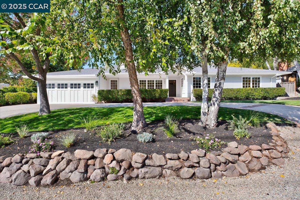 133 Lombardy Ln