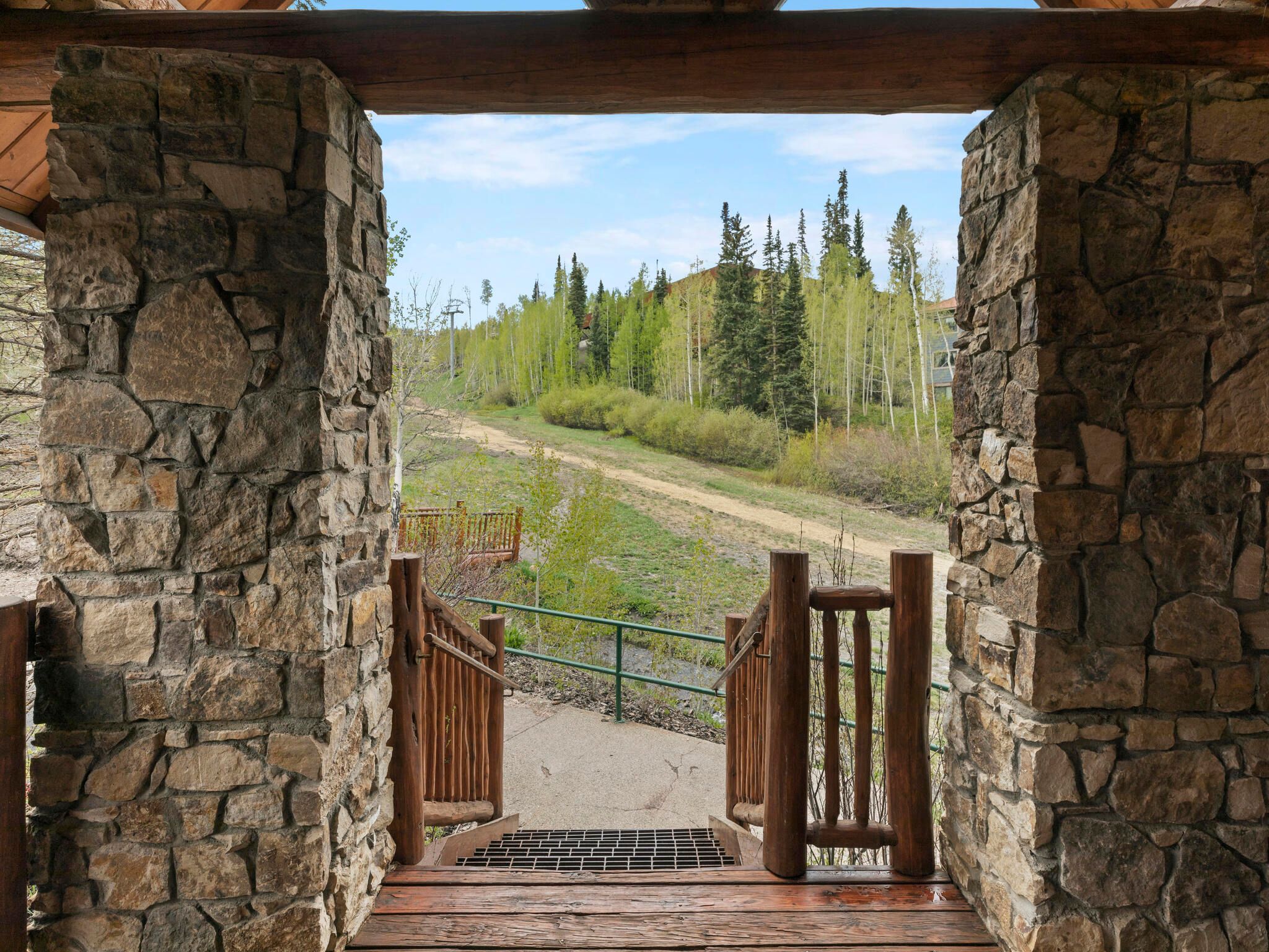457 Mountain Village Boulevard  Cabin 8 