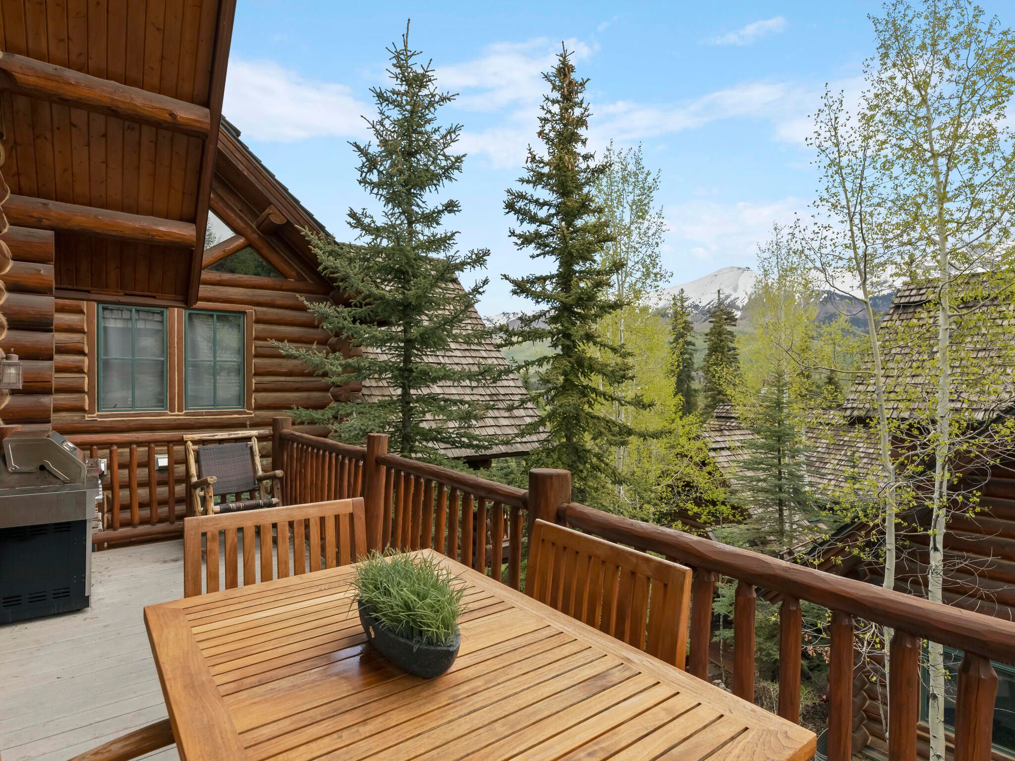 457 Mountain Village Boulevard  Cabin 8 