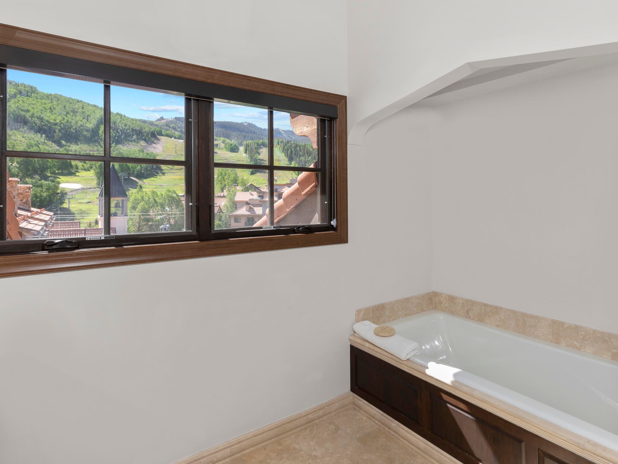 568 Mountain Village Boulevard #707 