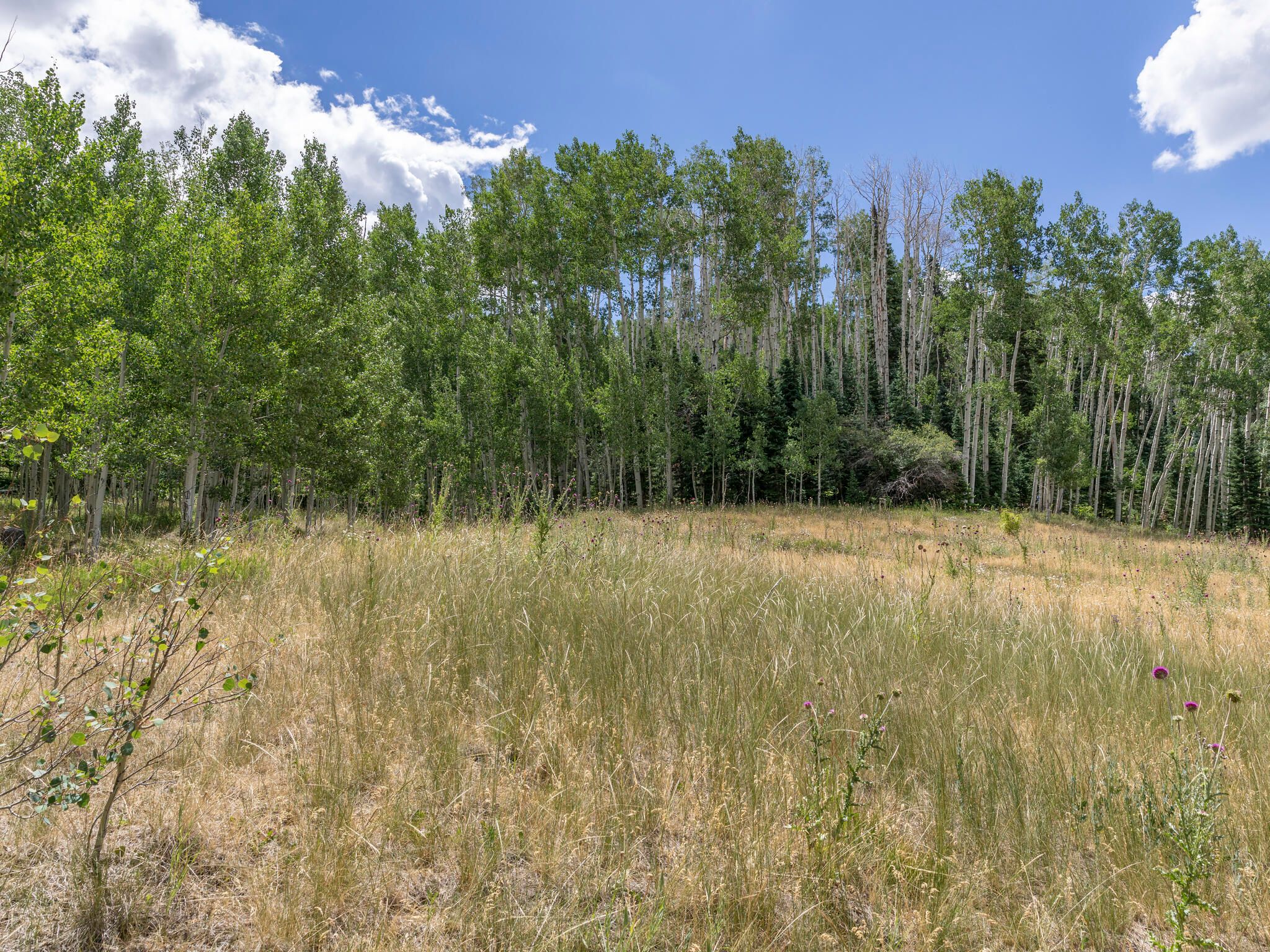 Lot 810A Arizona Street 
