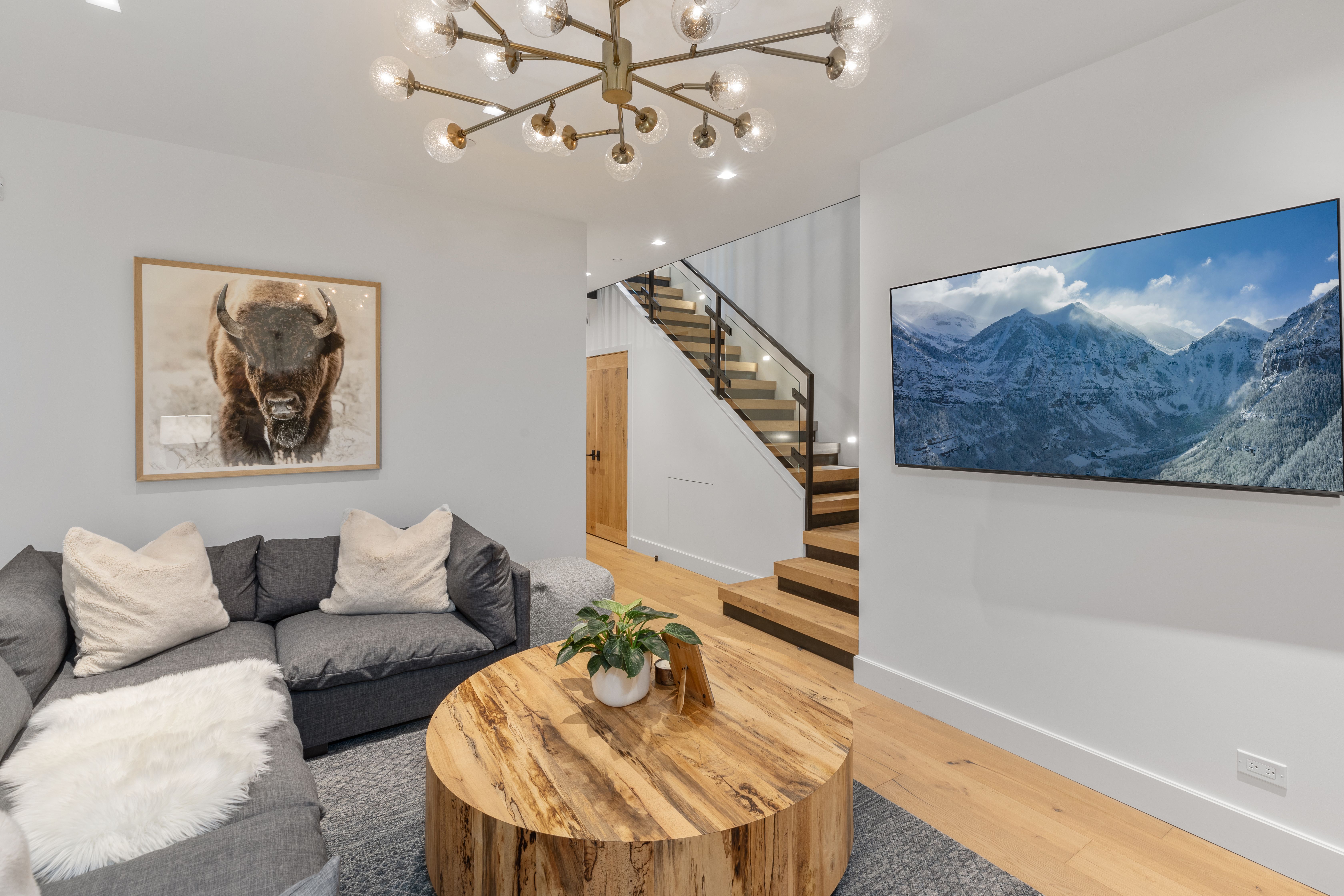 546 W Pacific Avenue, Telluride, CO