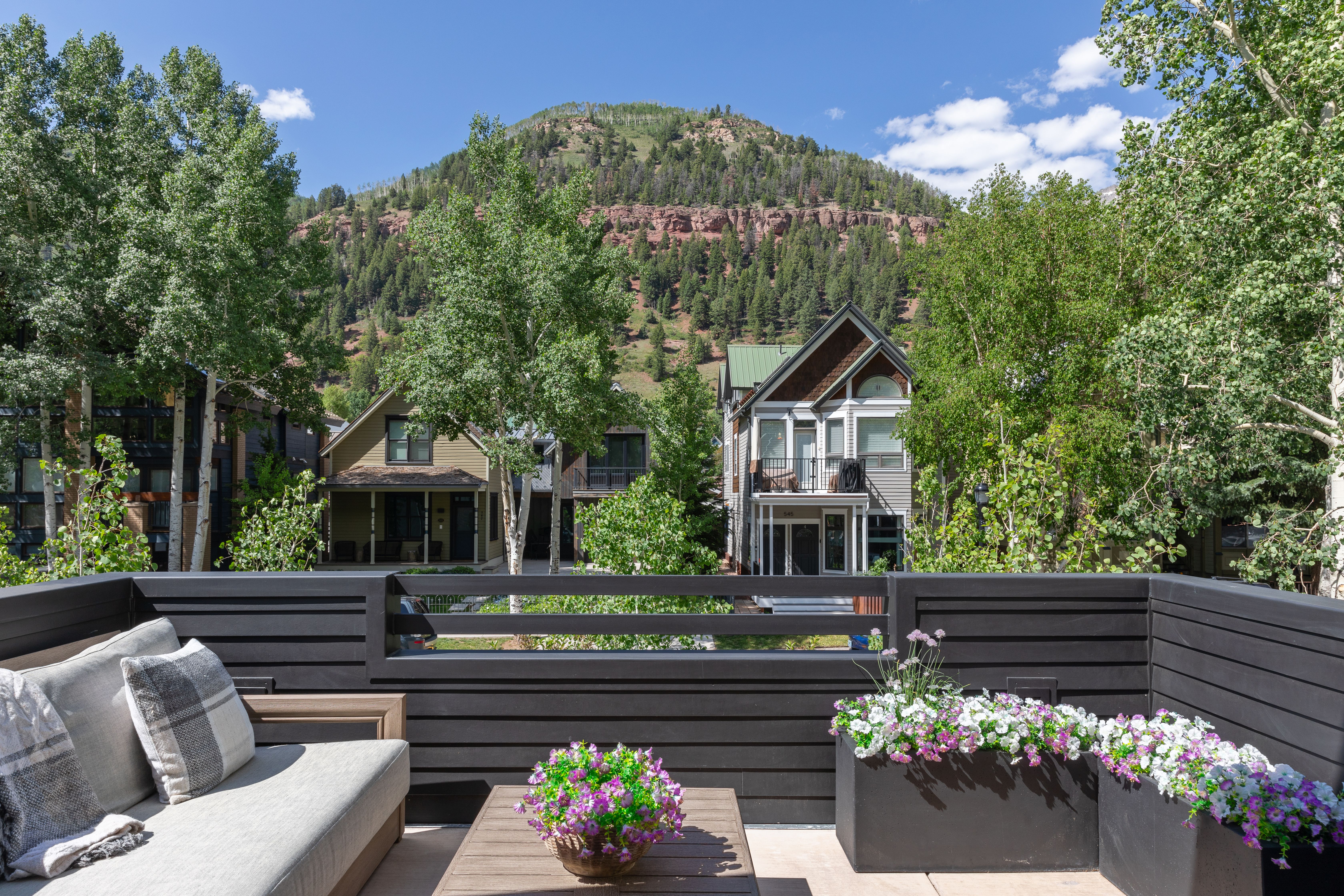 546 W Pacific Avenue, Telluride, CO