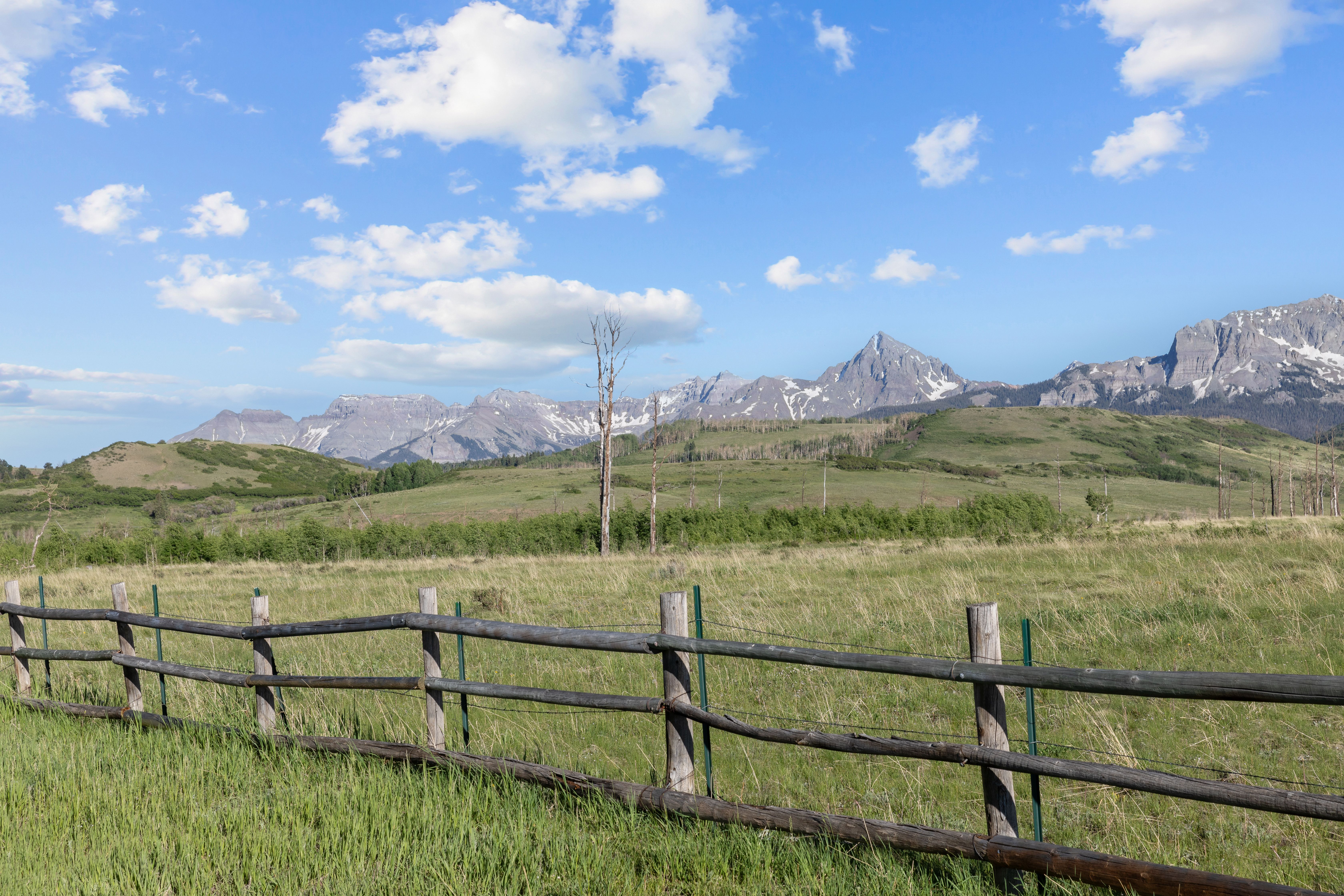 706 Hayden View Trail 