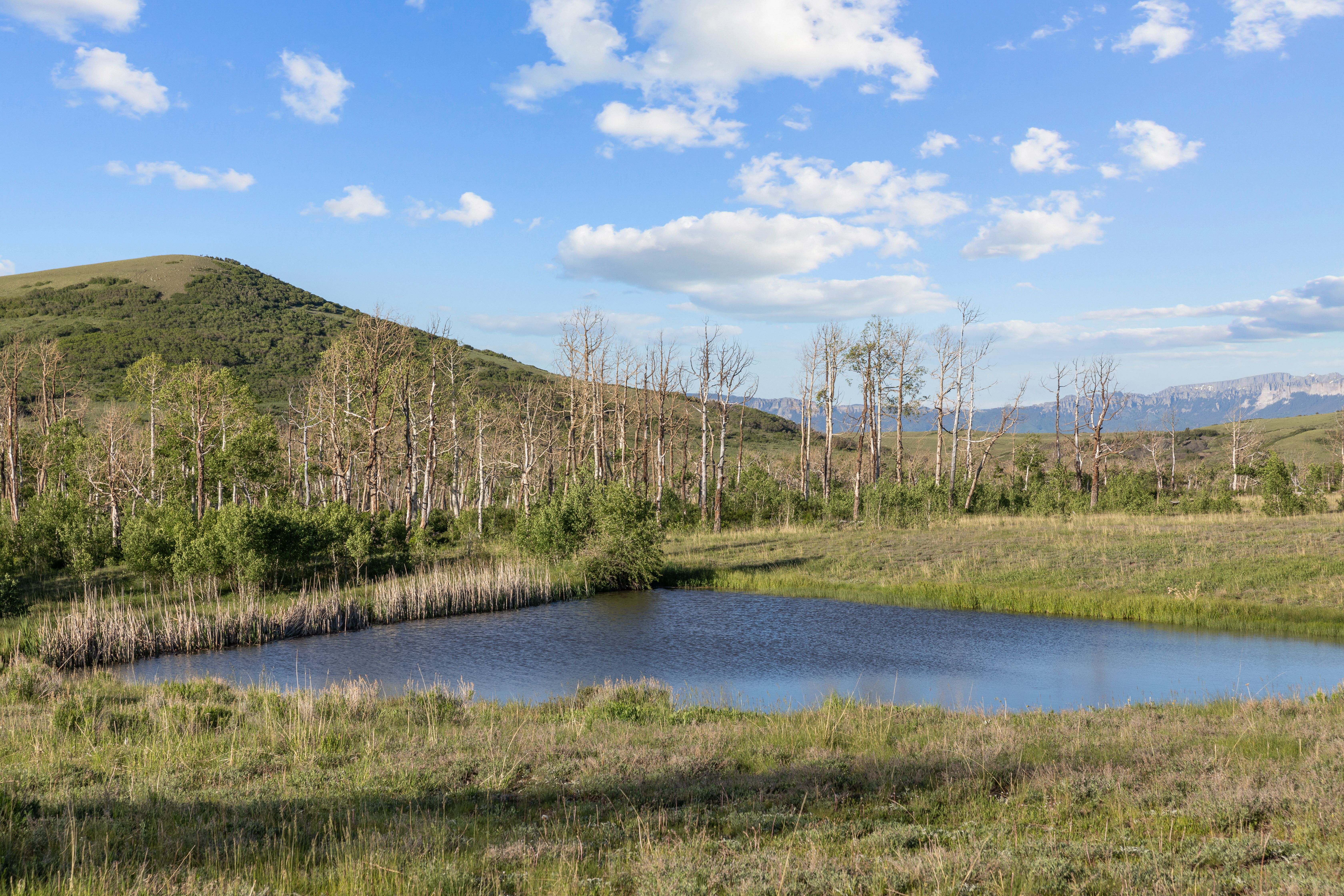 706 Hayden View Trail 