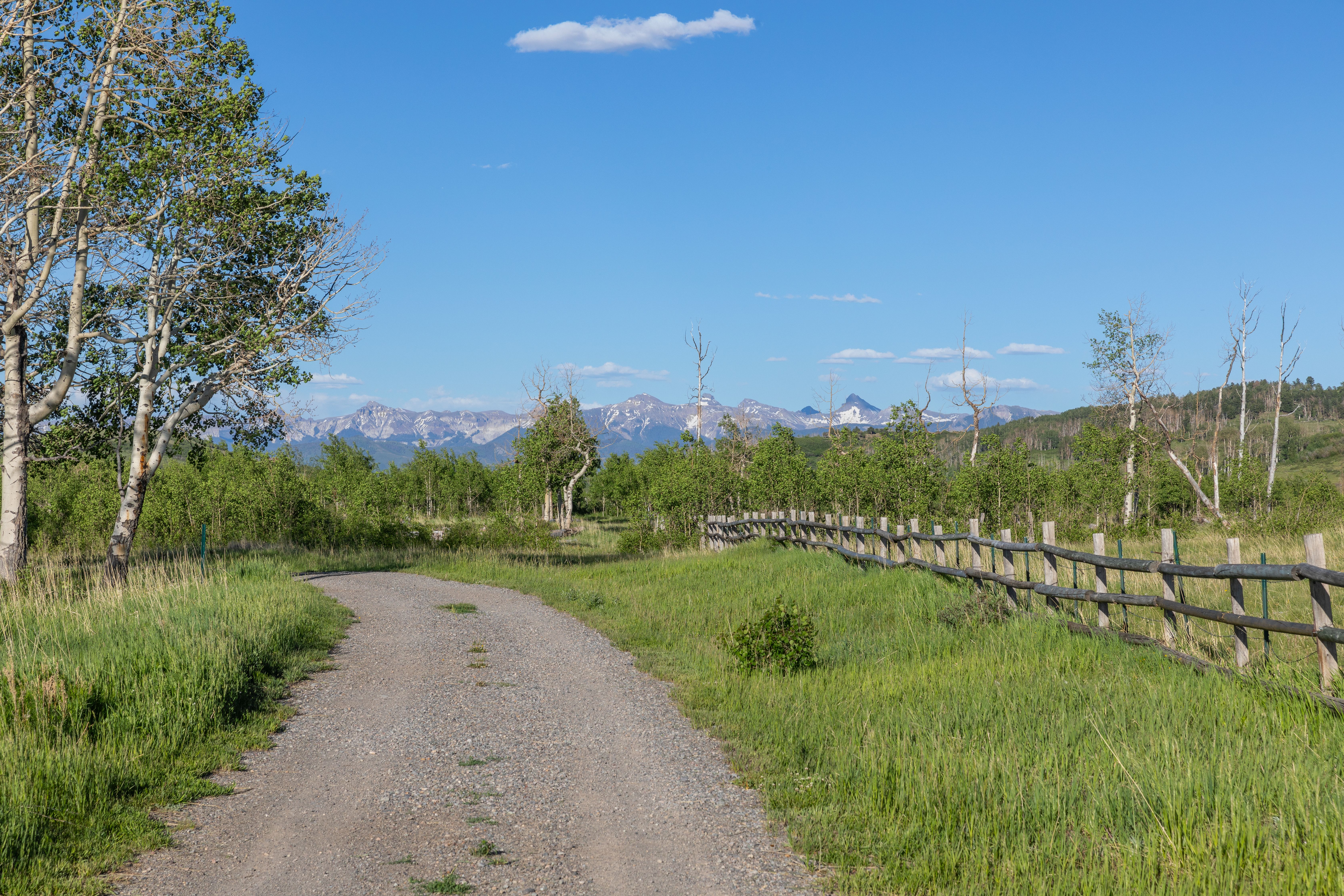 706 Hayden View Trail 
