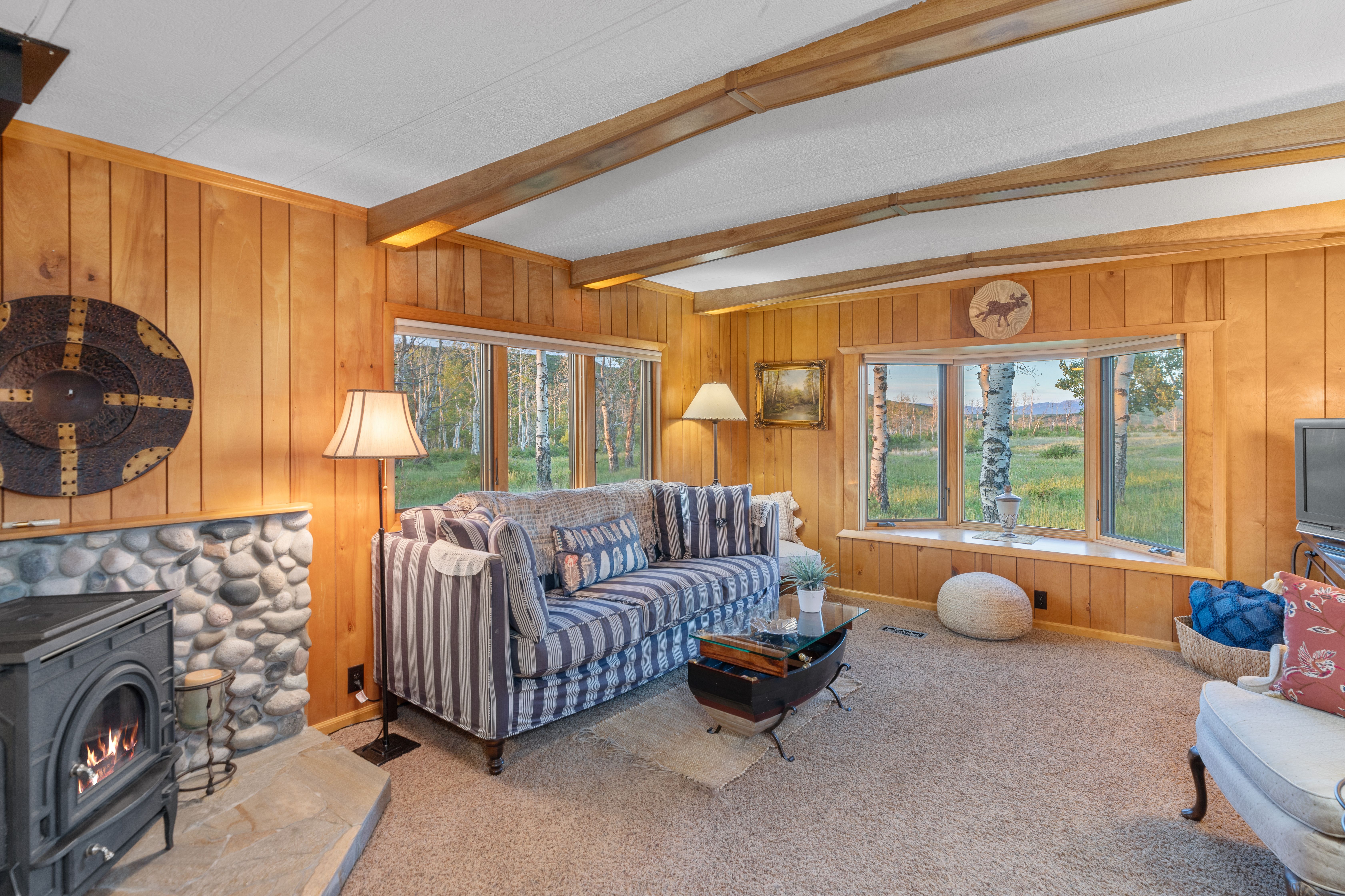 706 Hayden View Trail 