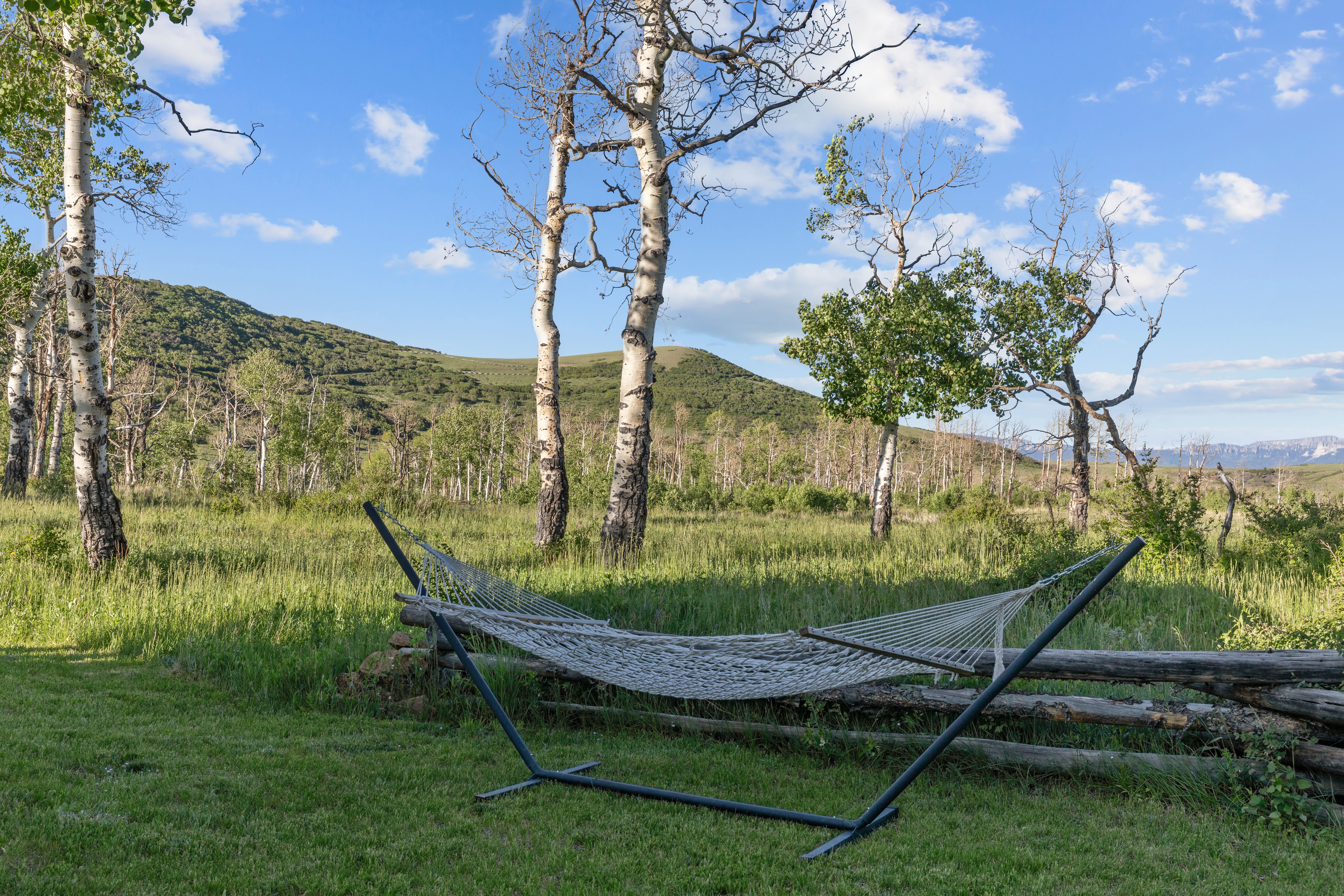 706 Hayden View Trail 