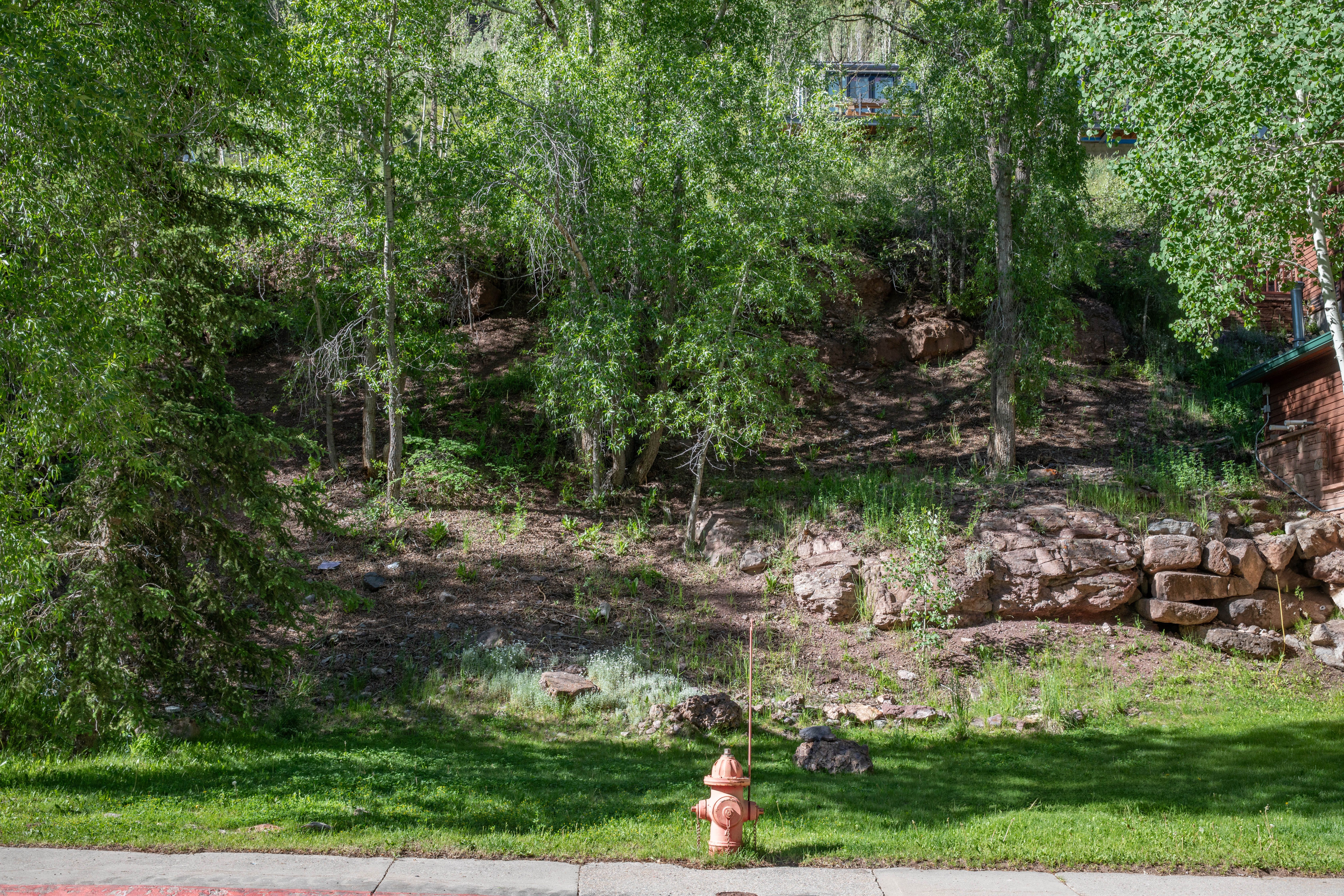 Lot C2 Pandora Avenue 