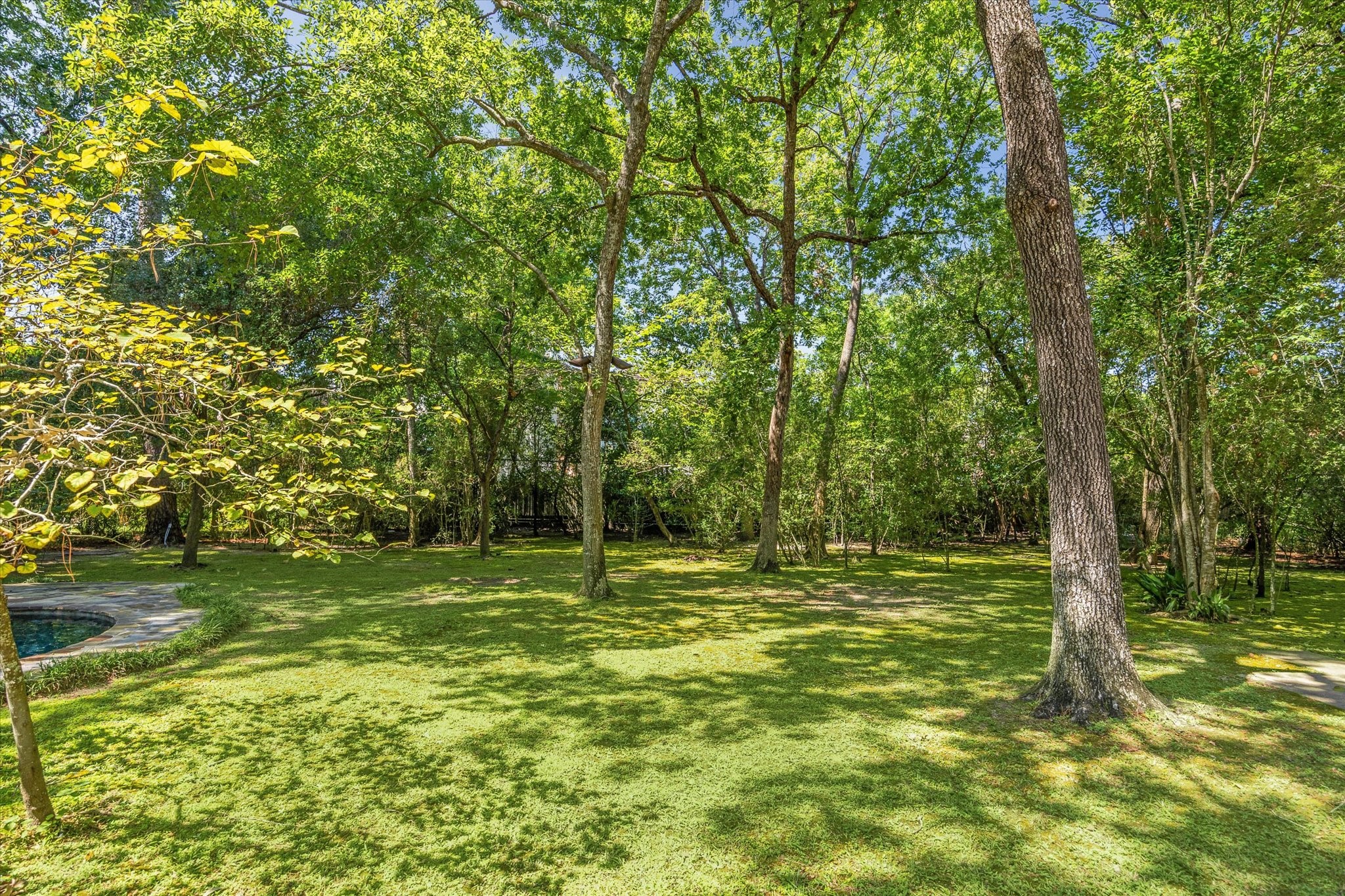 14 1/2 W Shady Lane