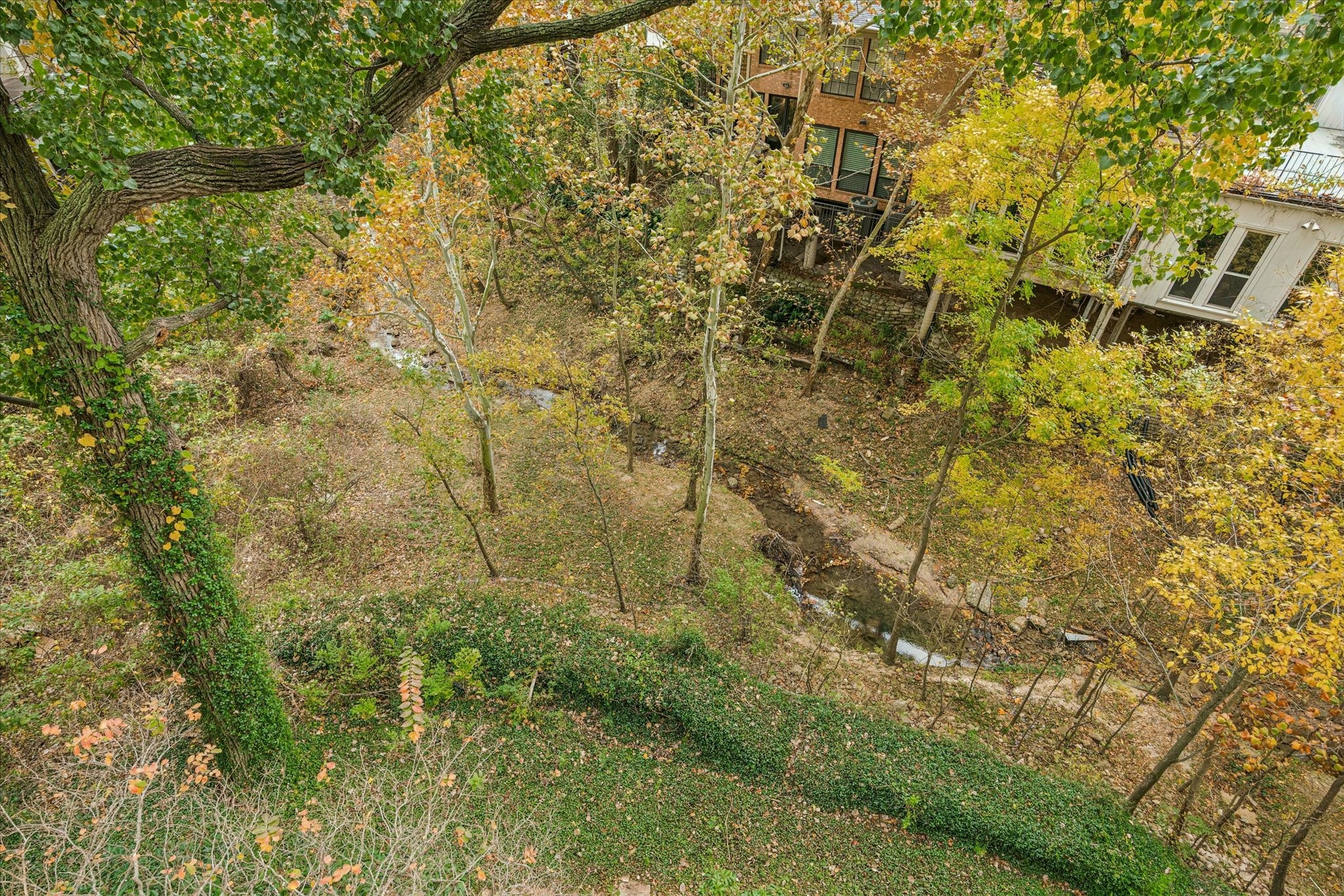 49 Briar Hollow Lane #203