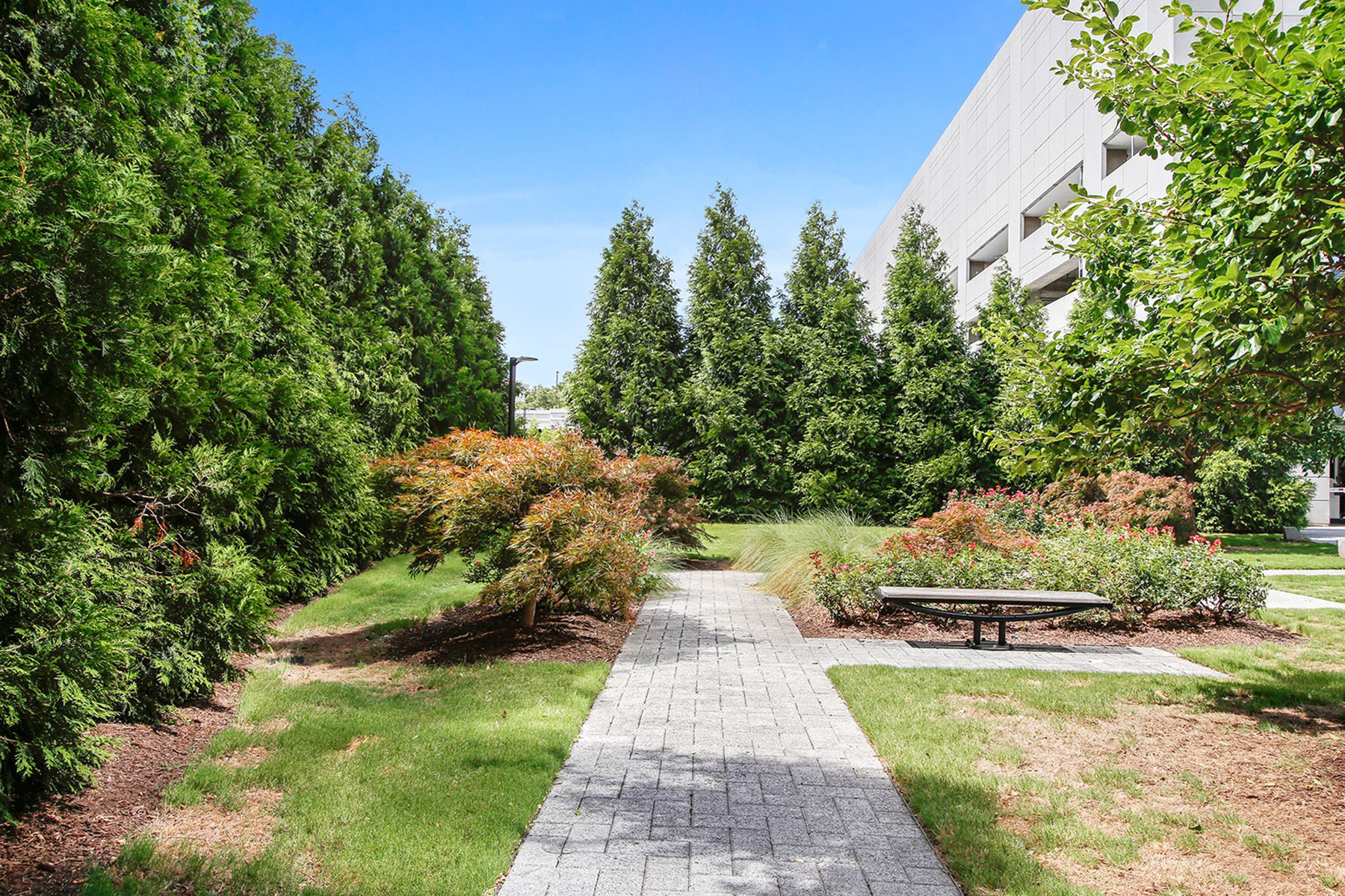 3630 Peachtree Road No. 1904
