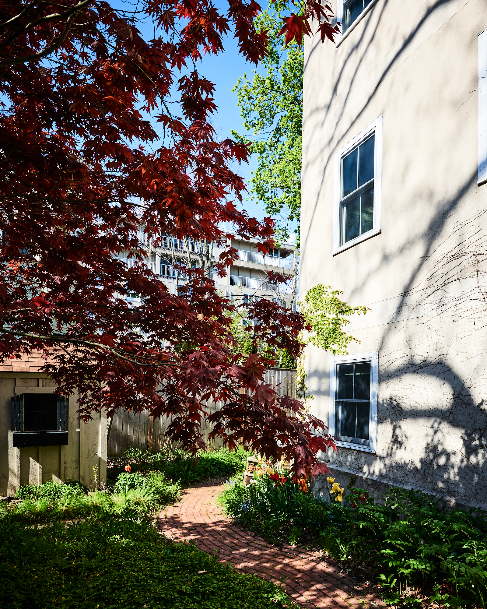 1 Broadway Ct