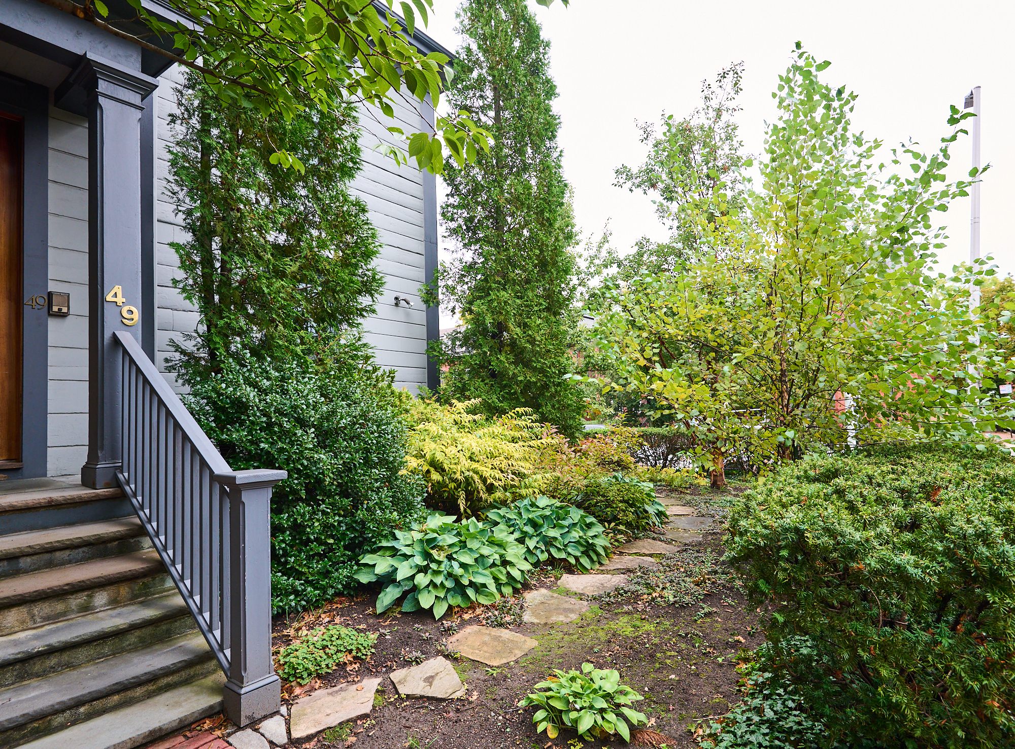 49 Dana St