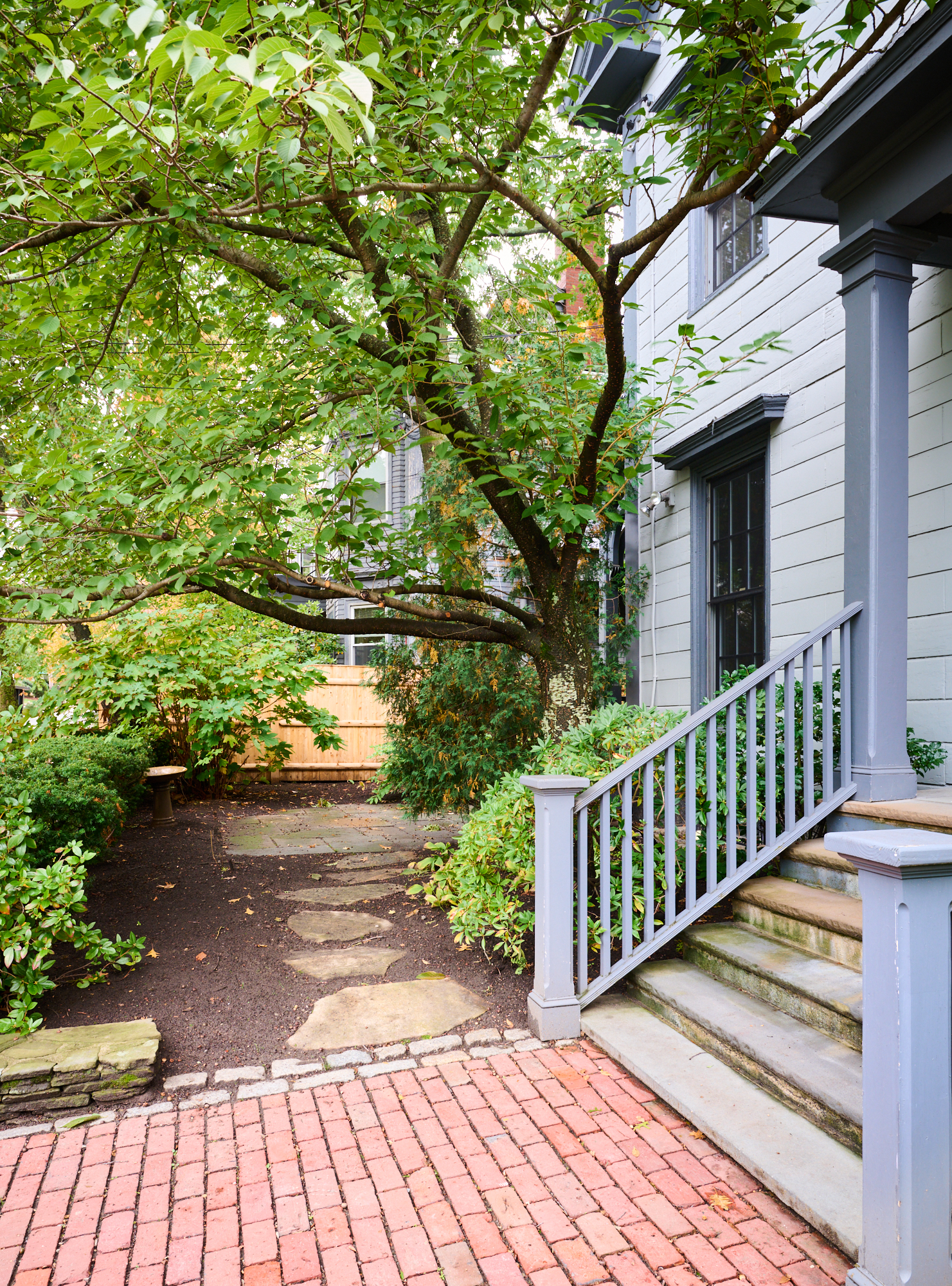 49 Dana St