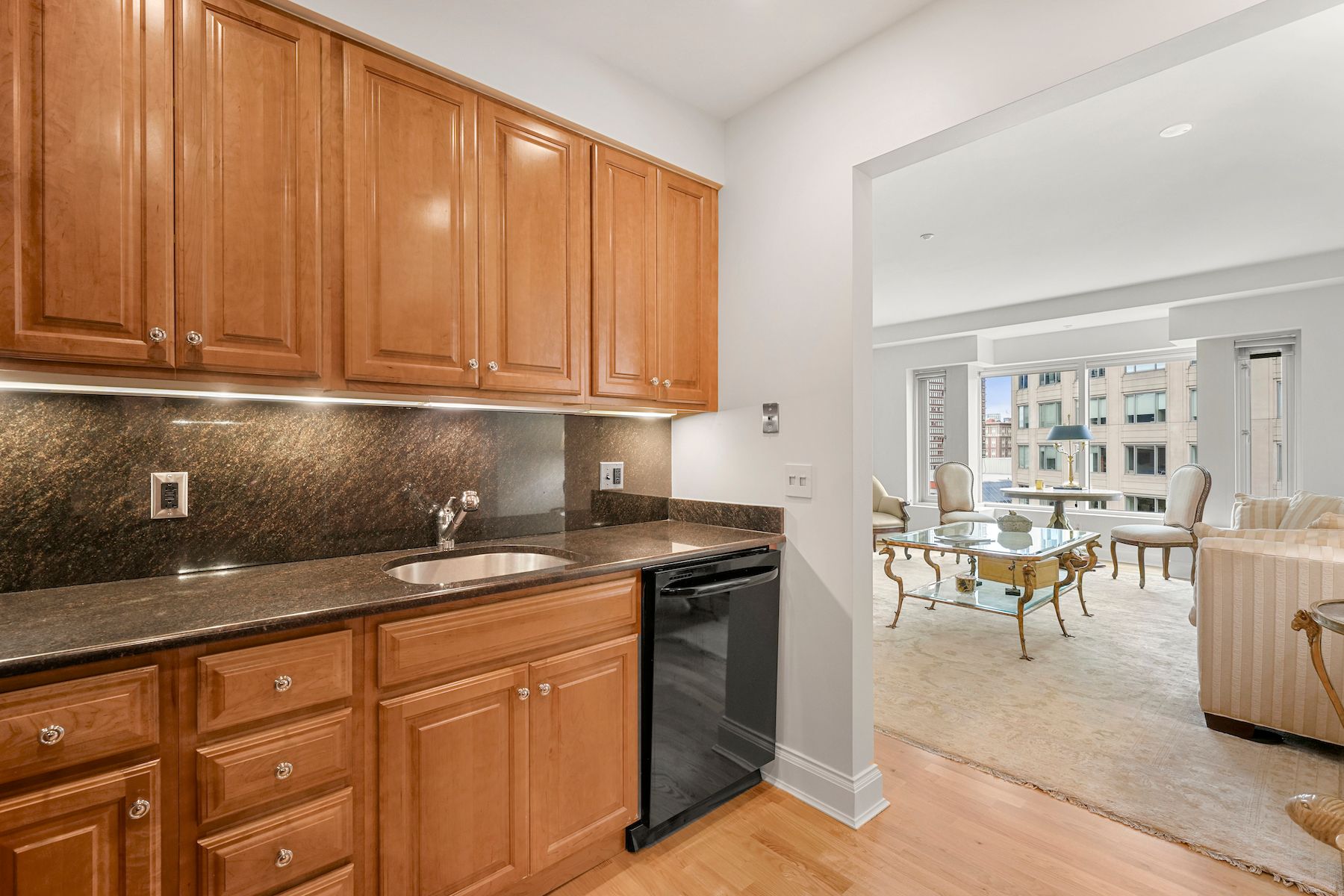 100 Belvidere Street 7E