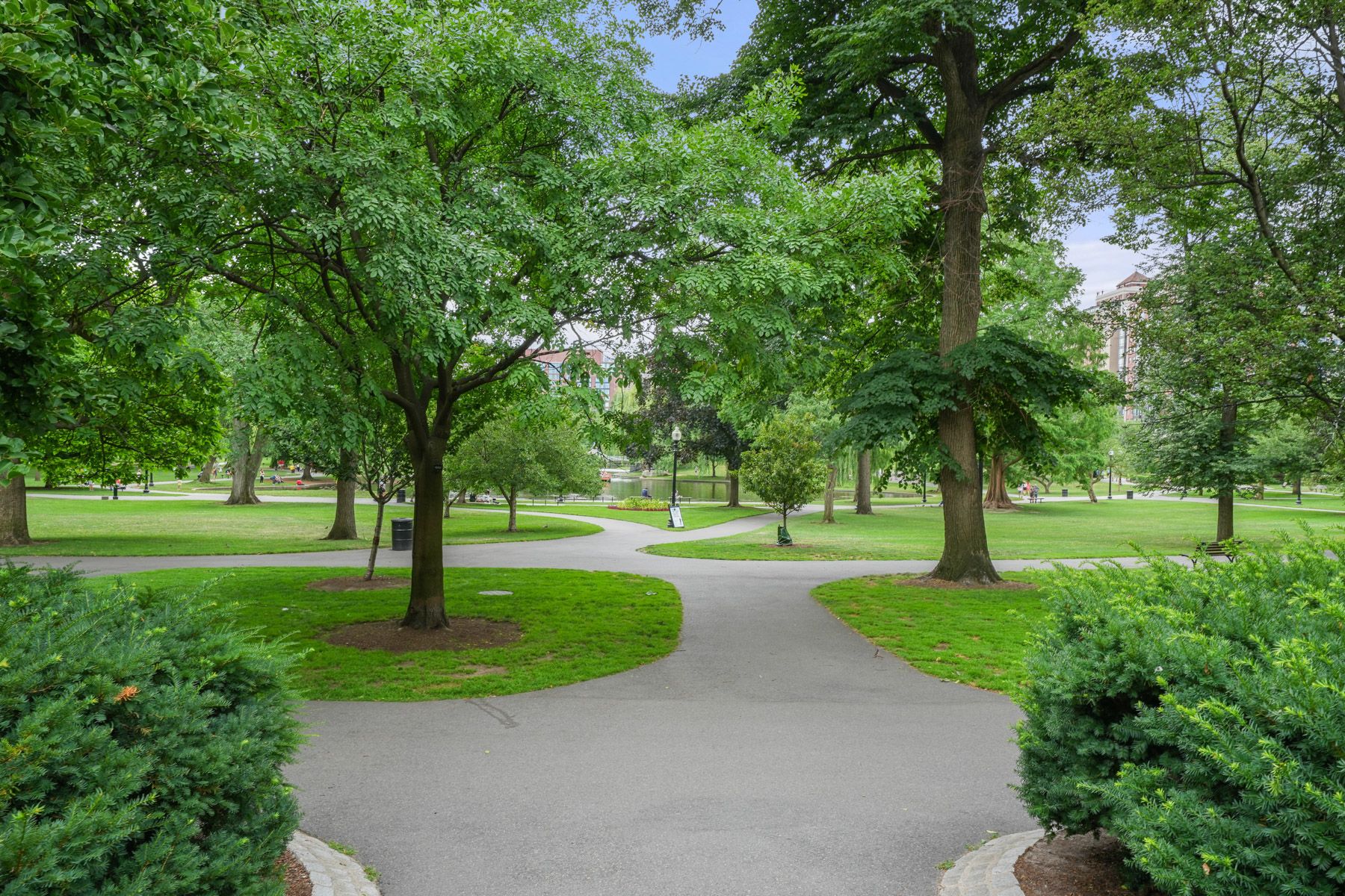 81 Beacon Street 4