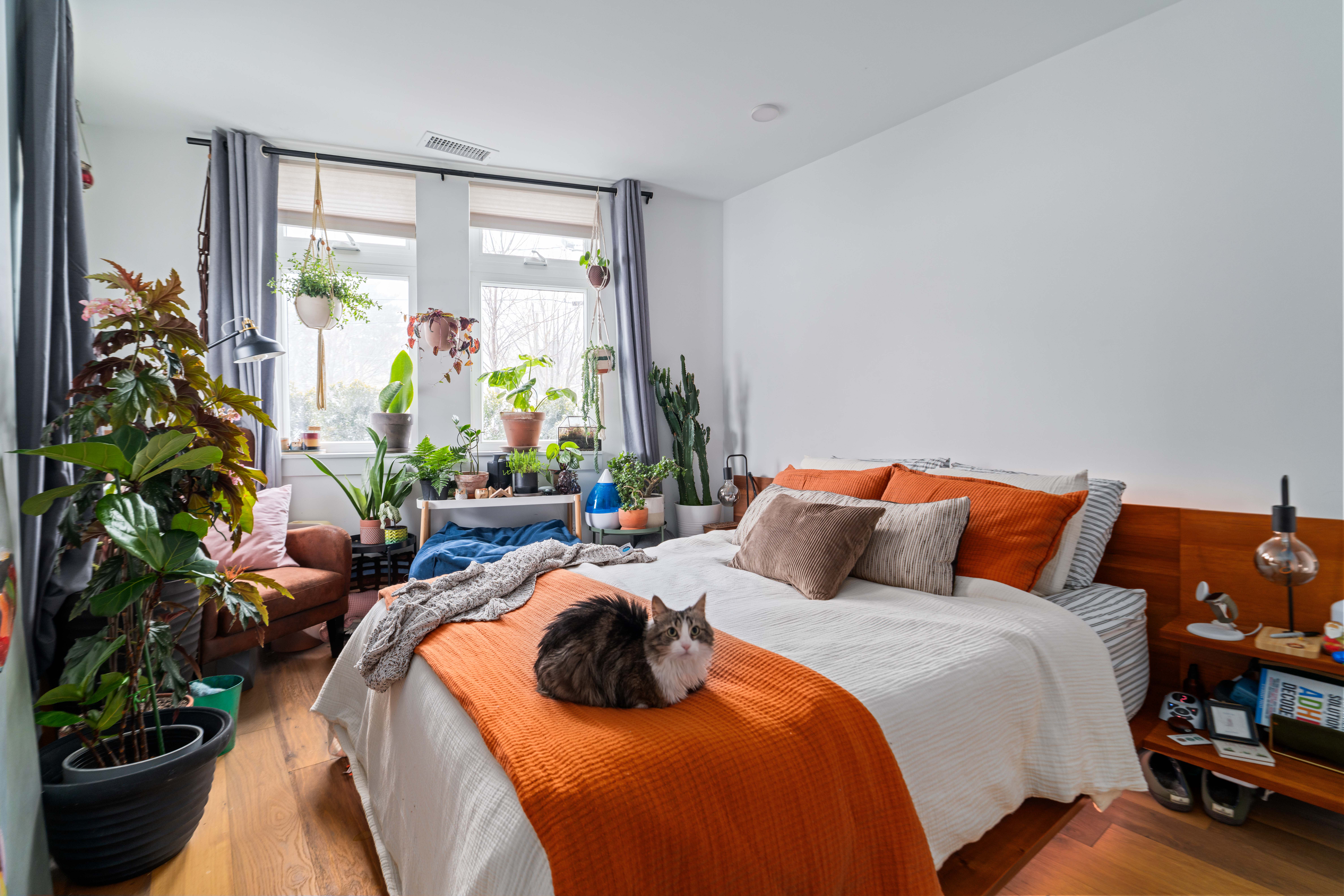 97 Elmwood Street, Unit 102 