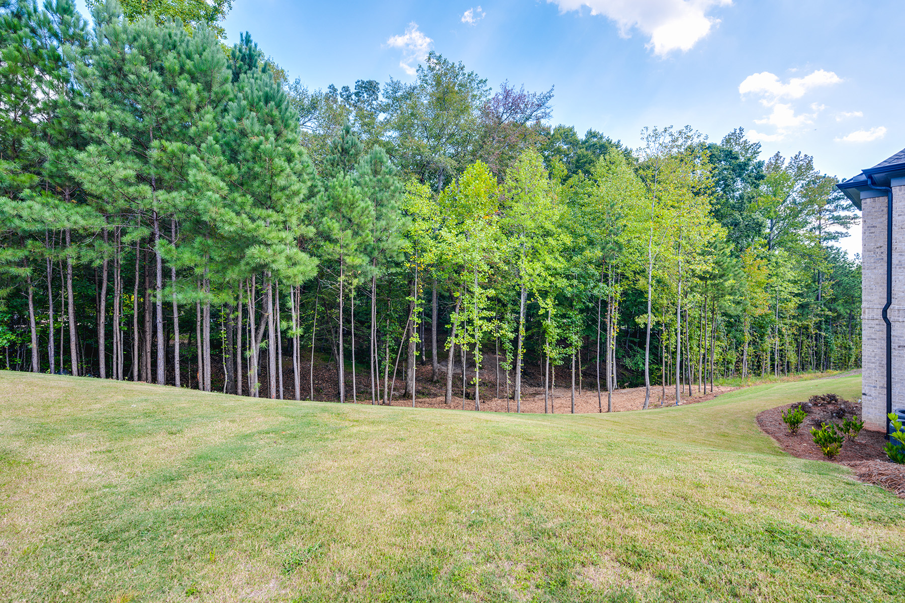 507 Carl Sanders Drive