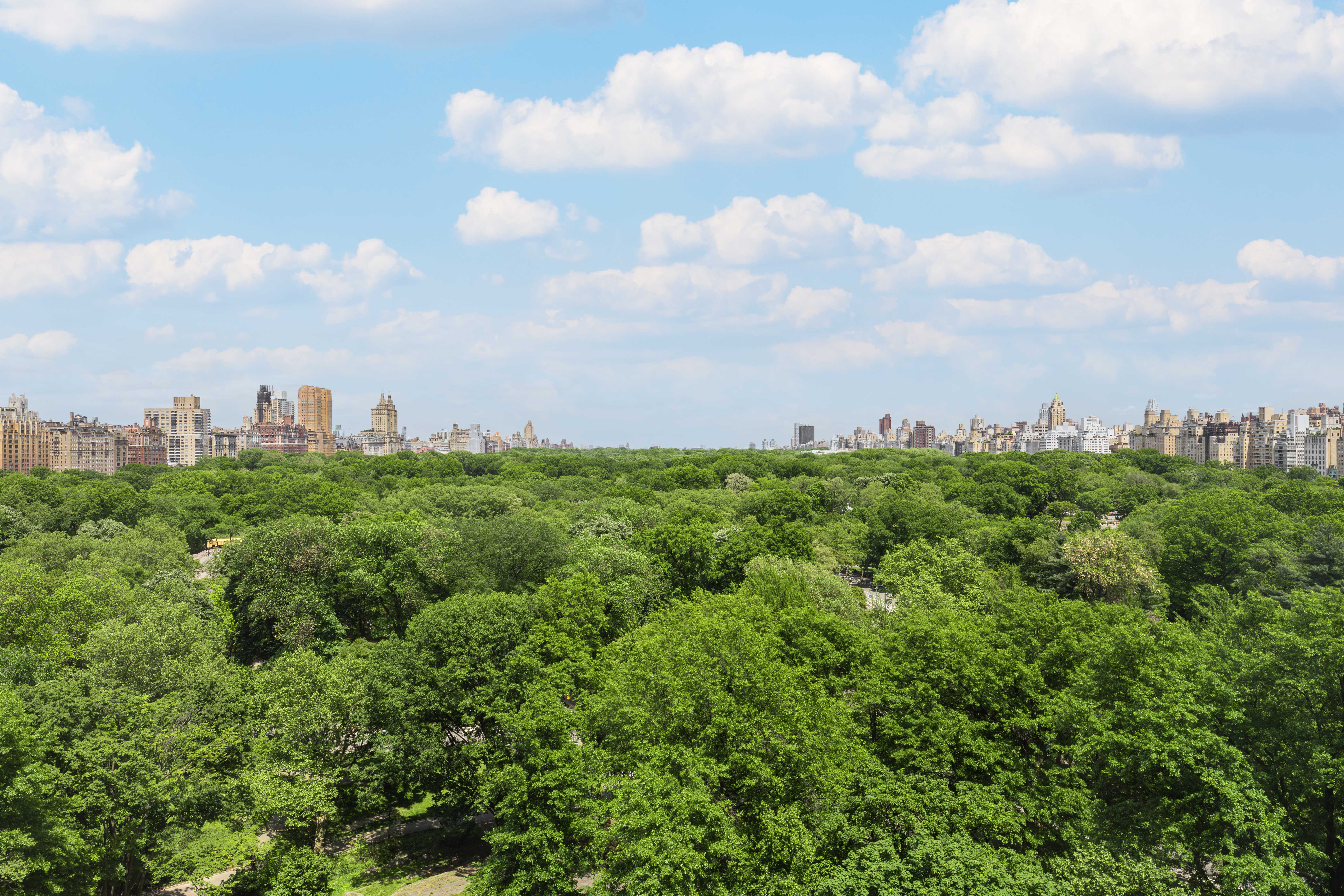 150 Central Park South 1204/1206