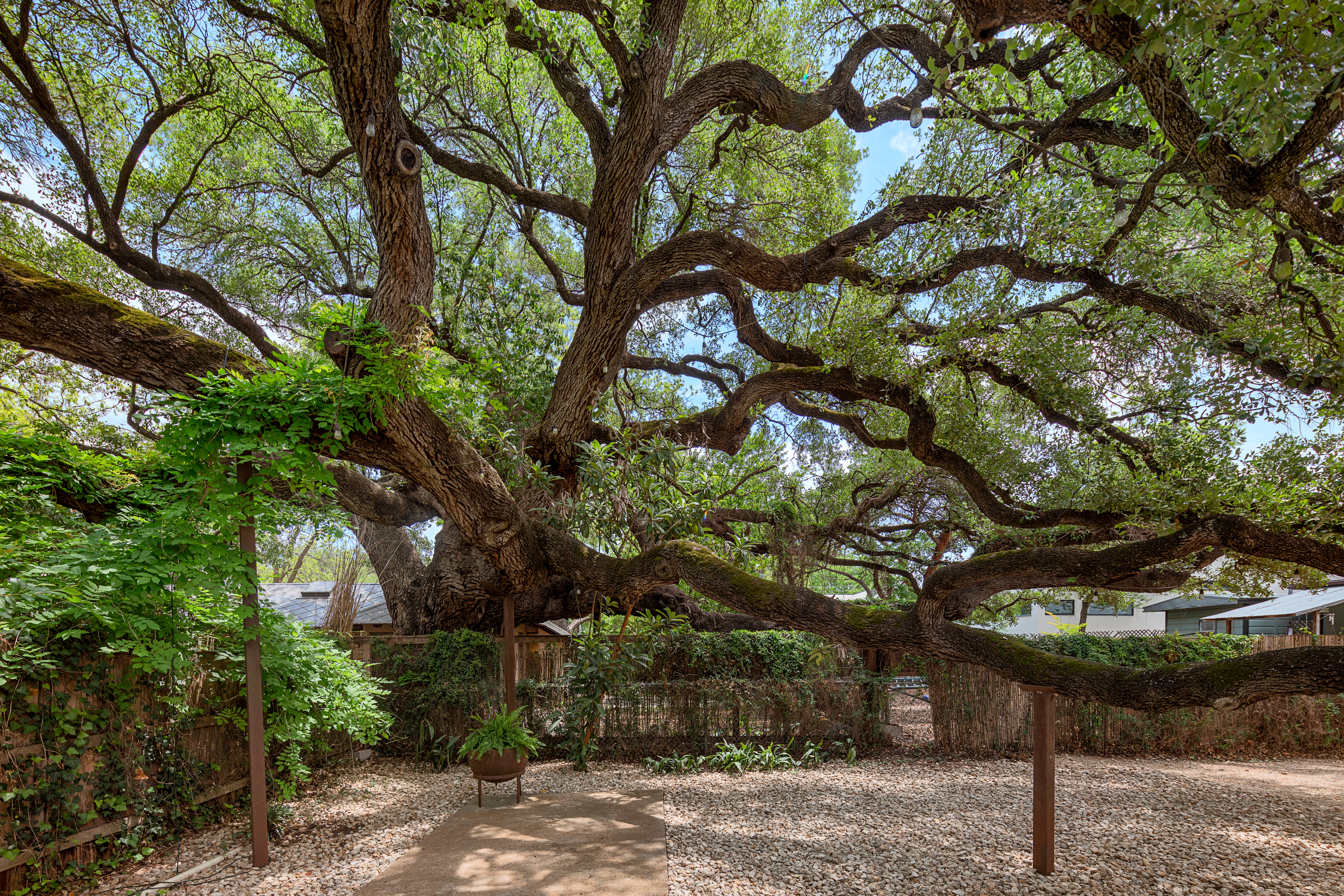 1114 Woodland Avenue