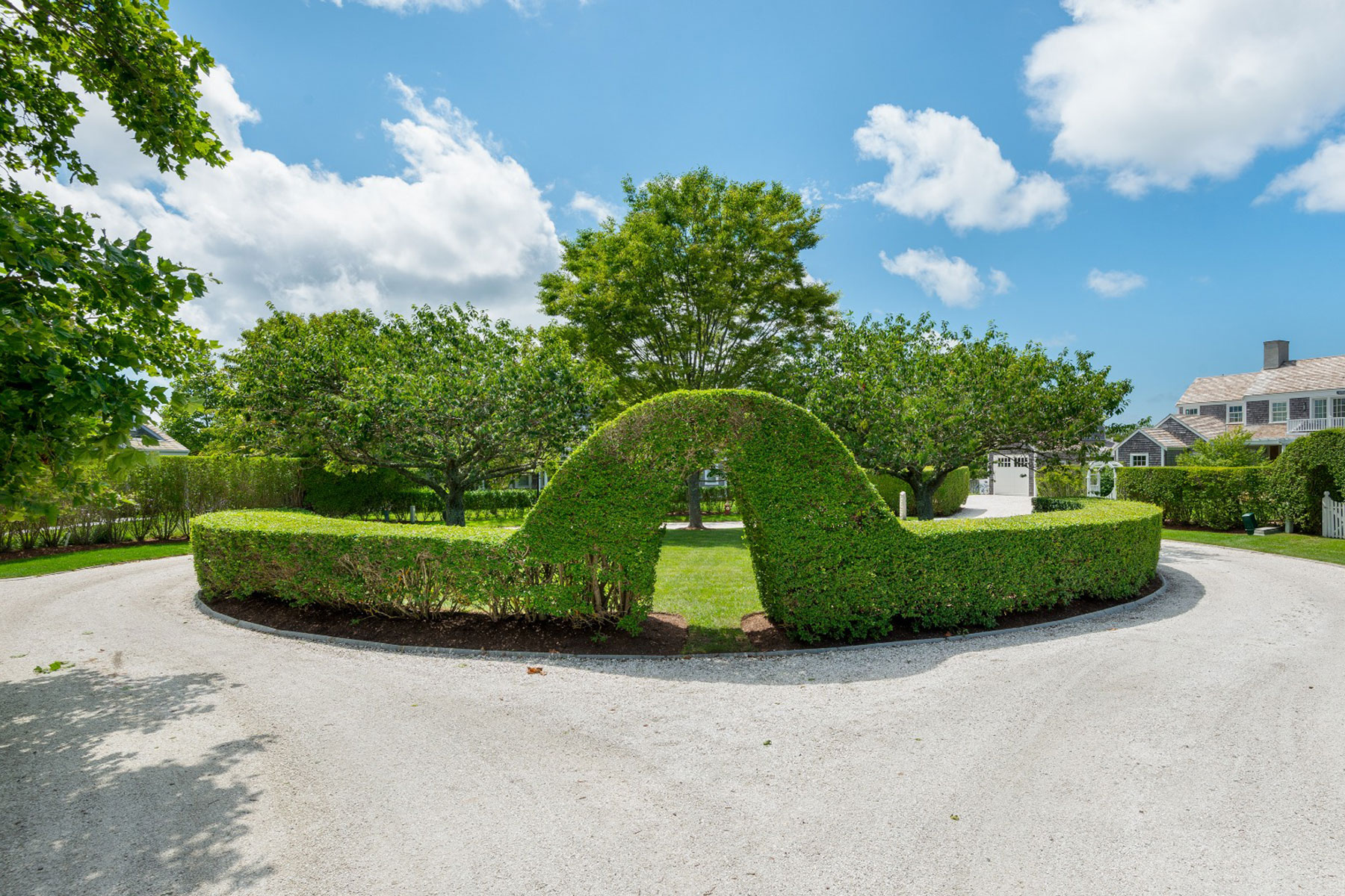 Hedge Row 