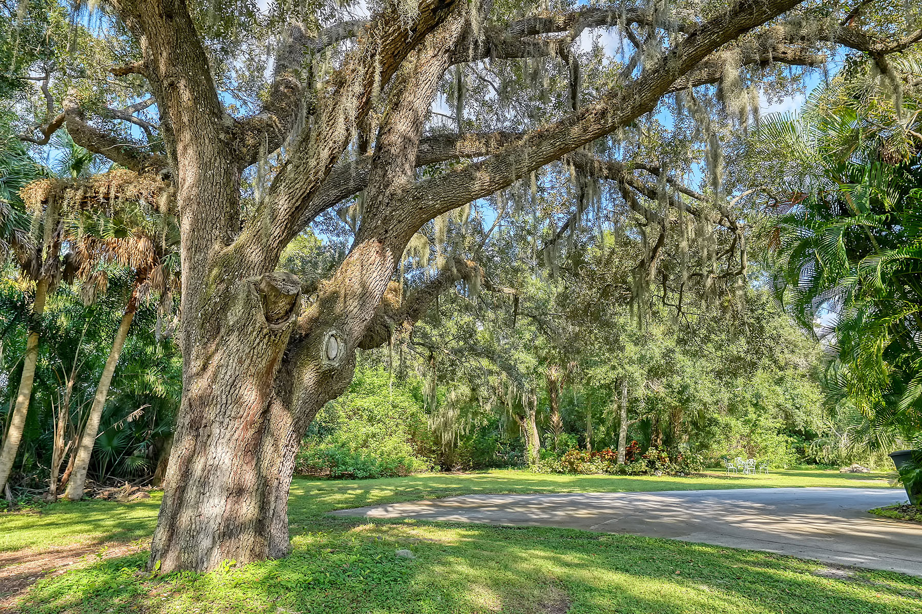 4457 Sandpine Lane