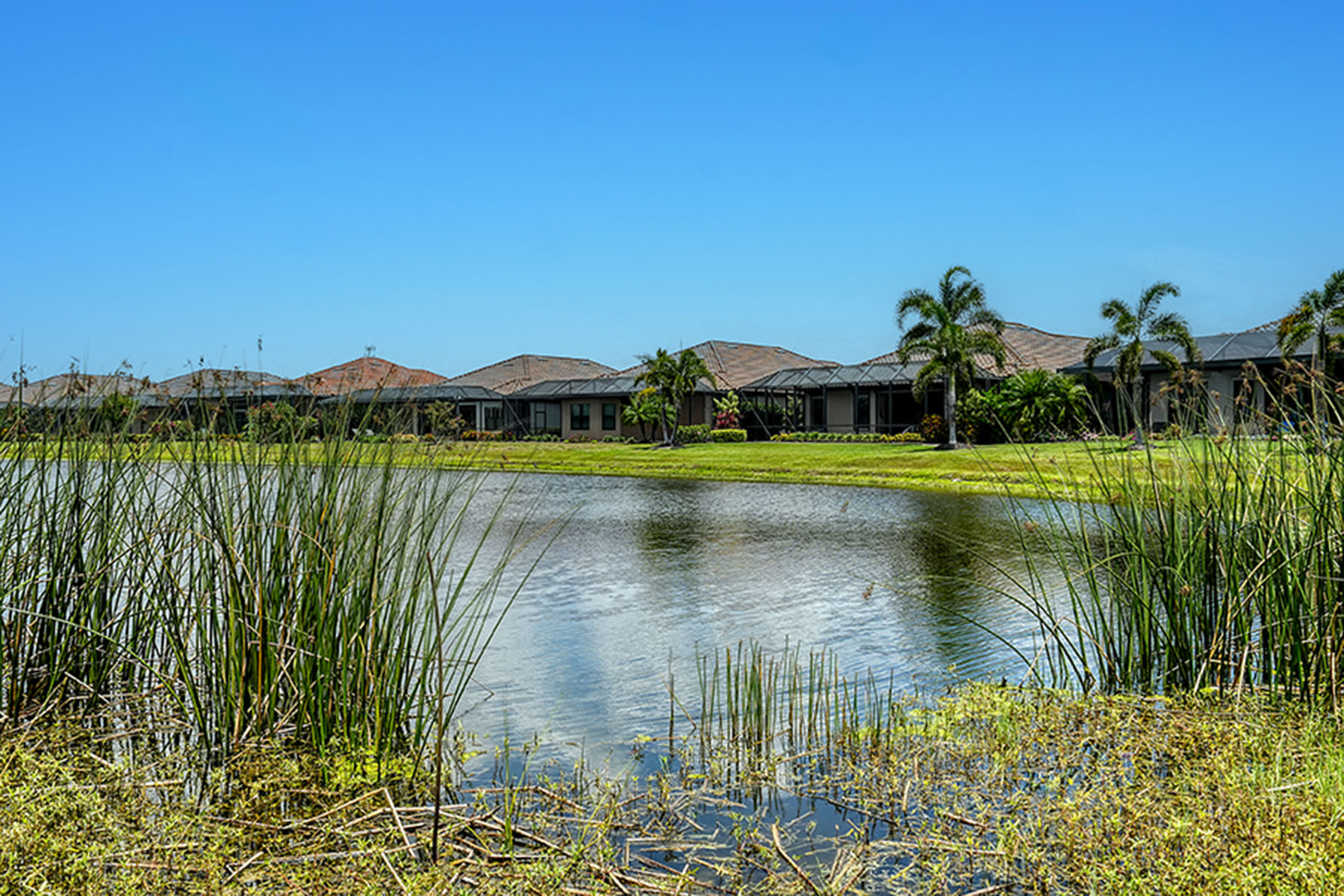 4809 Benito Court