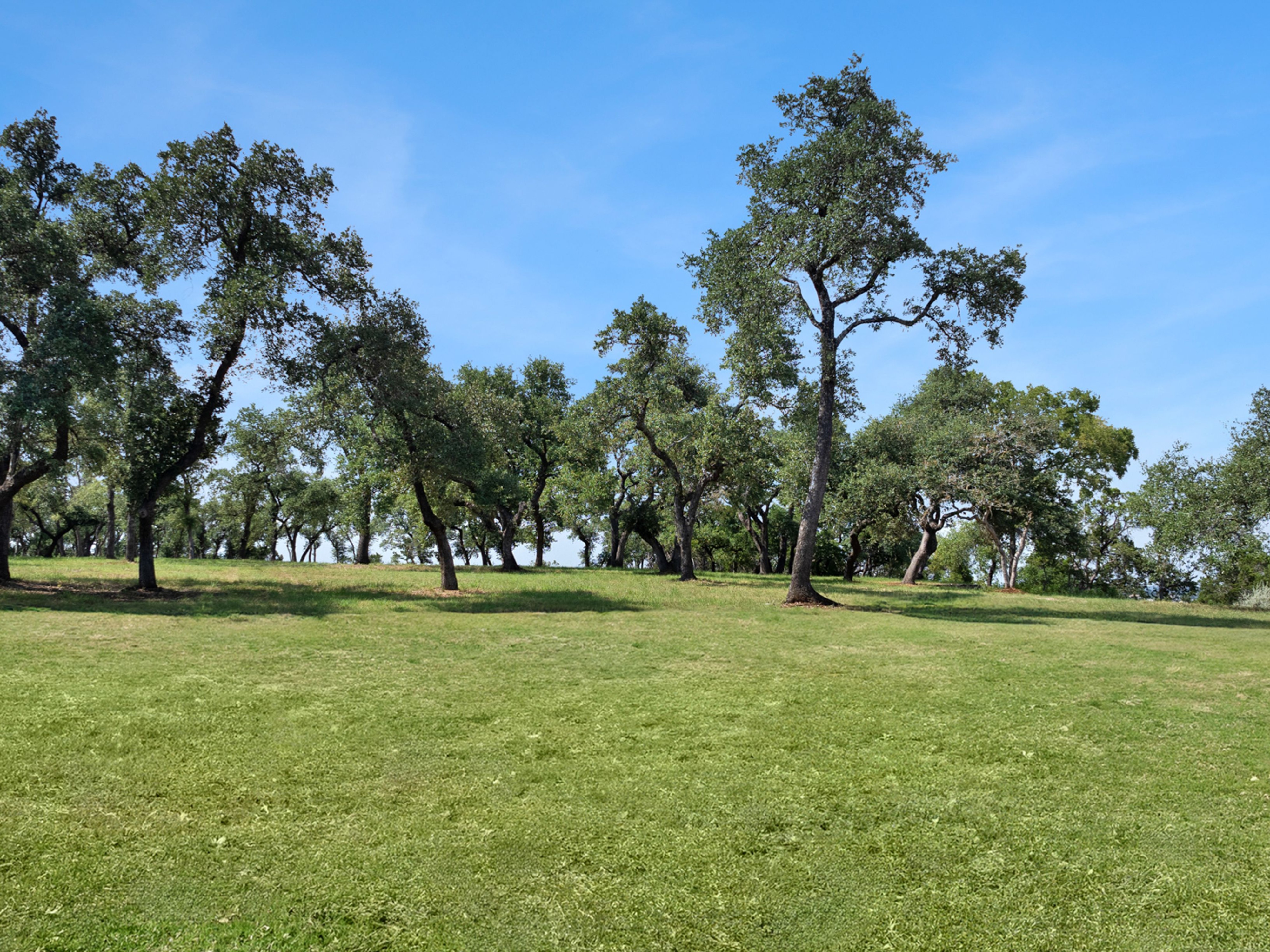 1300 Redbud Trail 