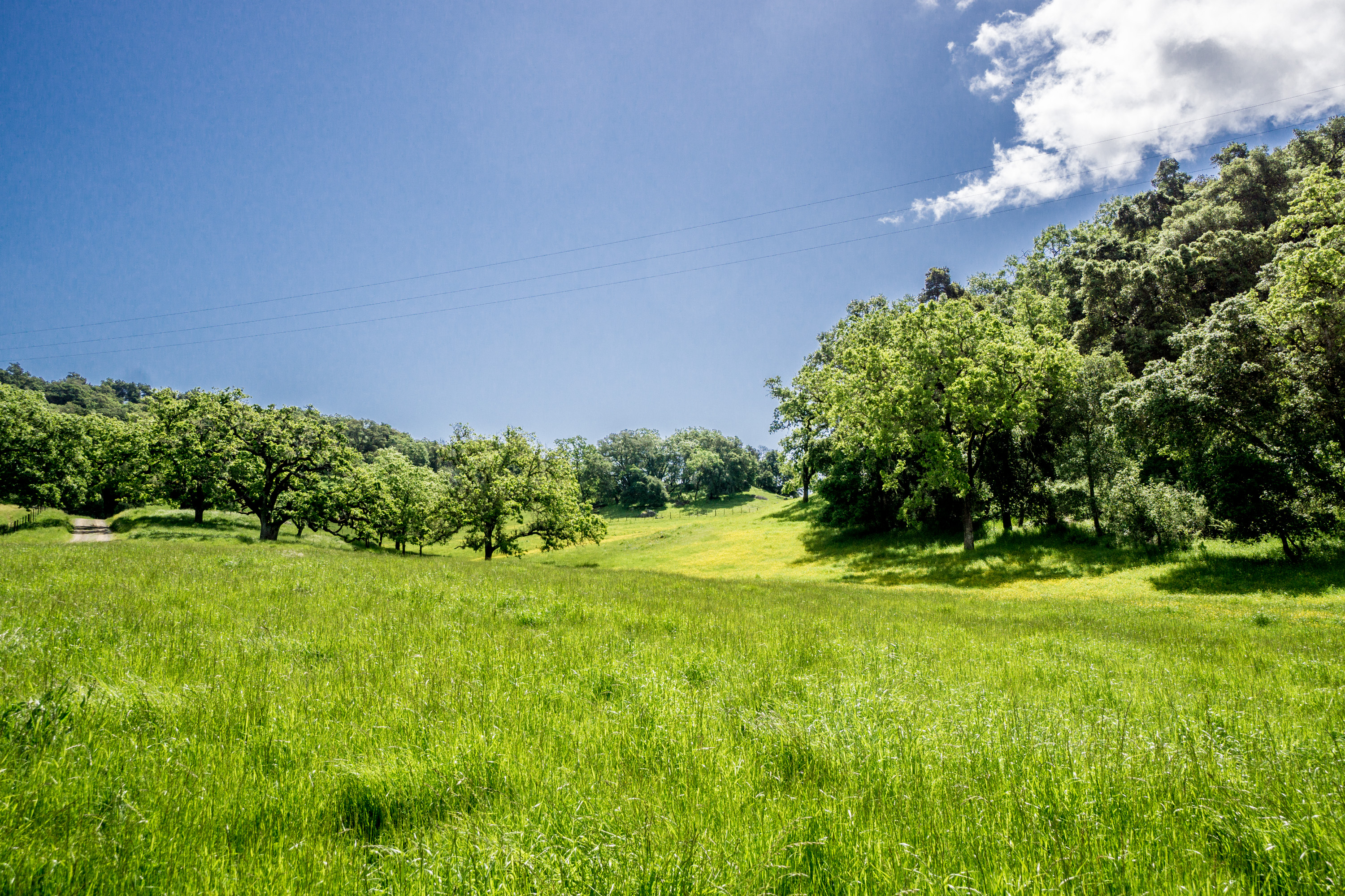 6545 Redwood Retreat Road 