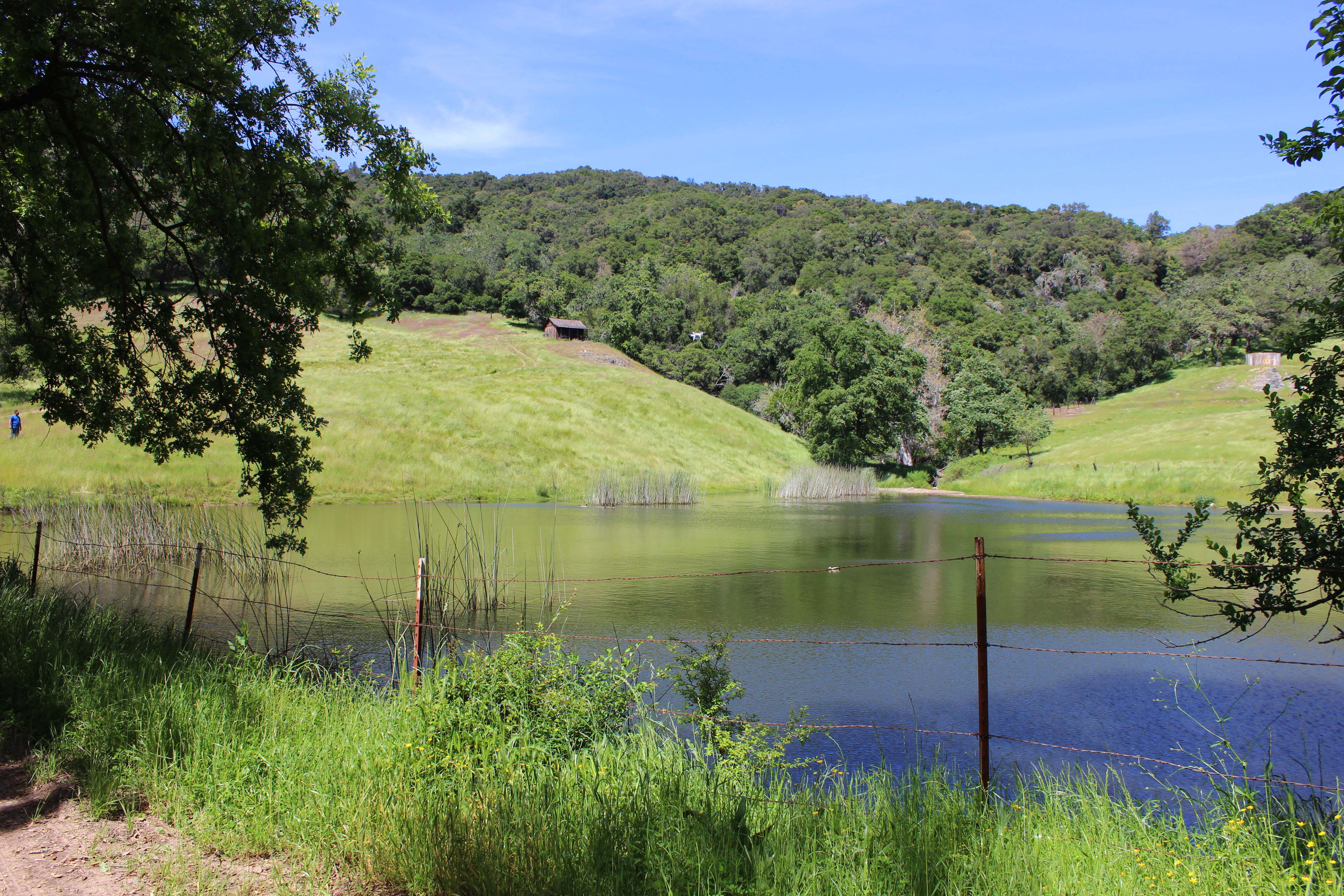 6545 Redwood Retreat Road 