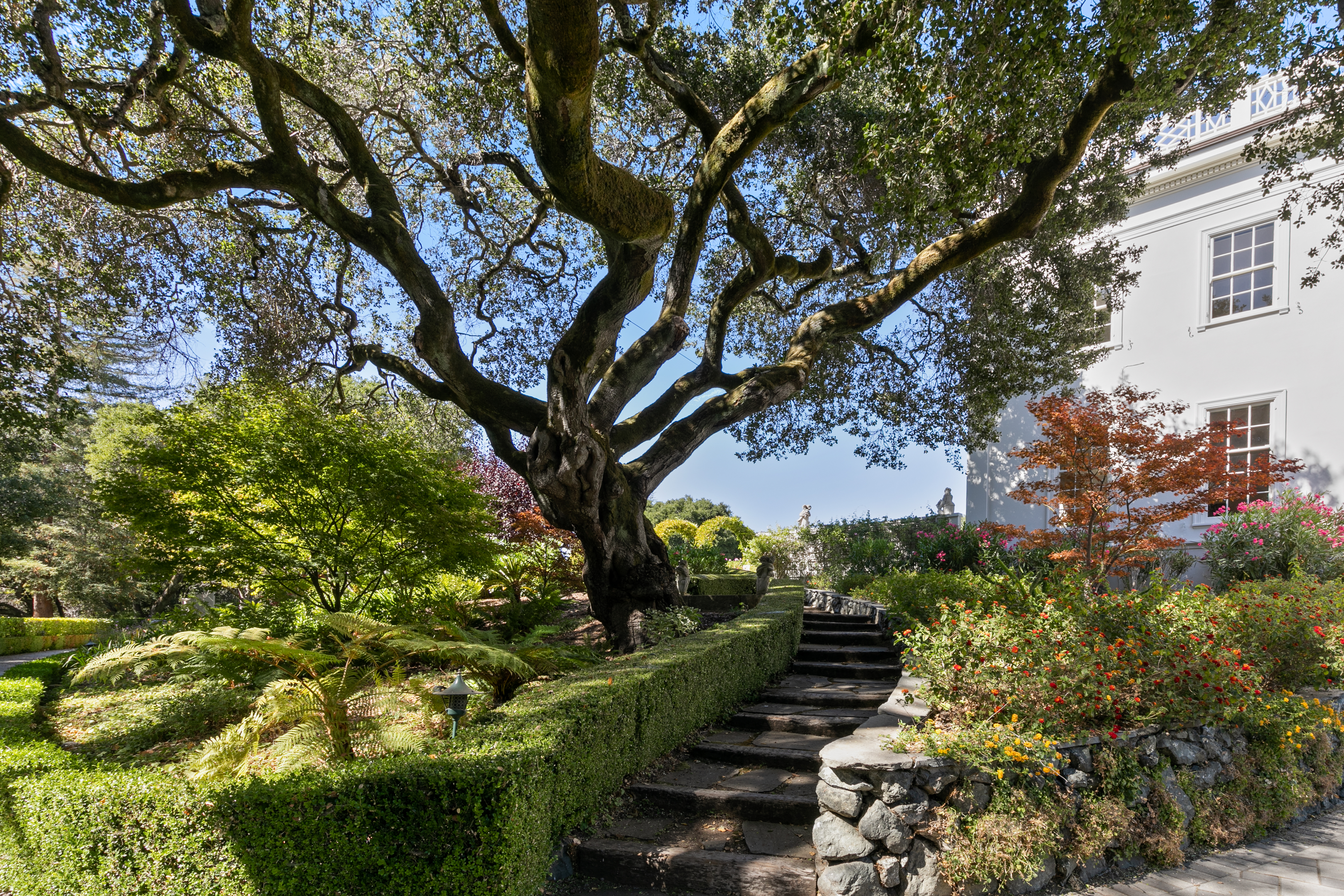 401 El Cerrito Avenue 