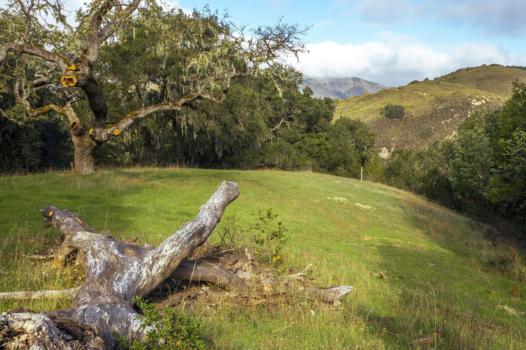 11 Vasquez Trail