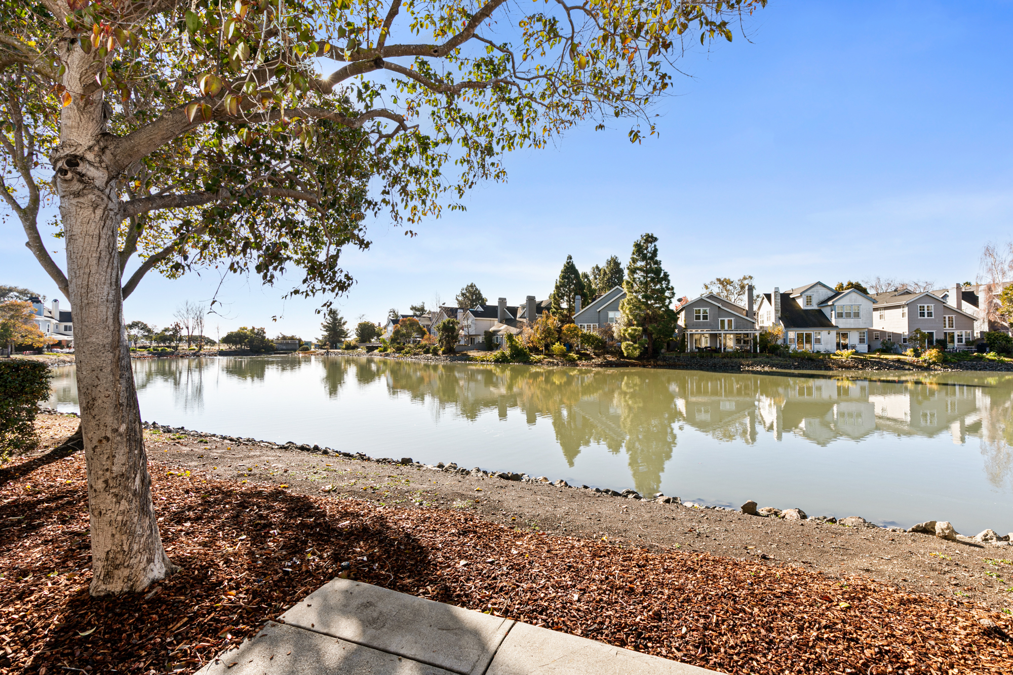 808 Bay Harbour Drive 