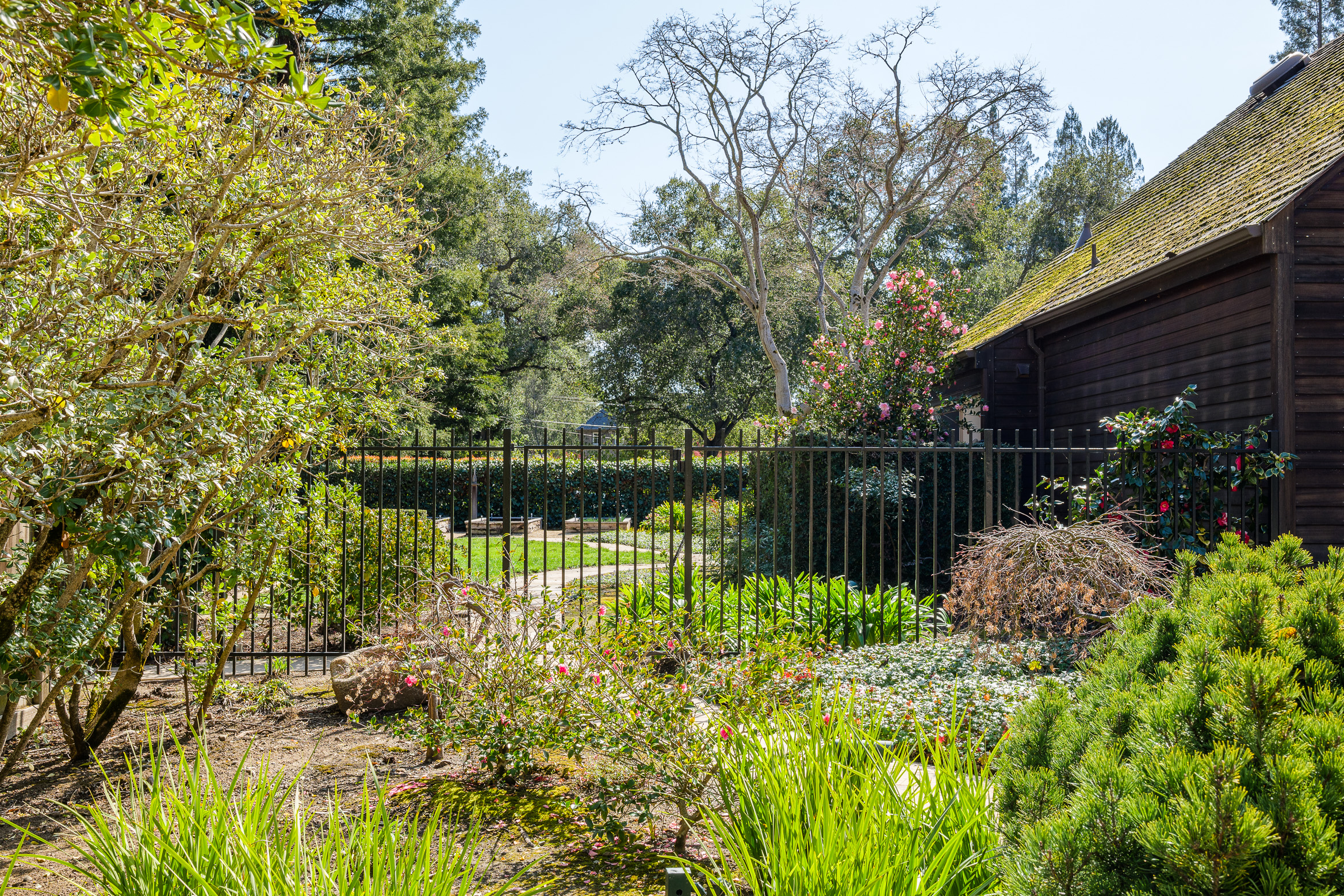 80 Coghlan Lane 