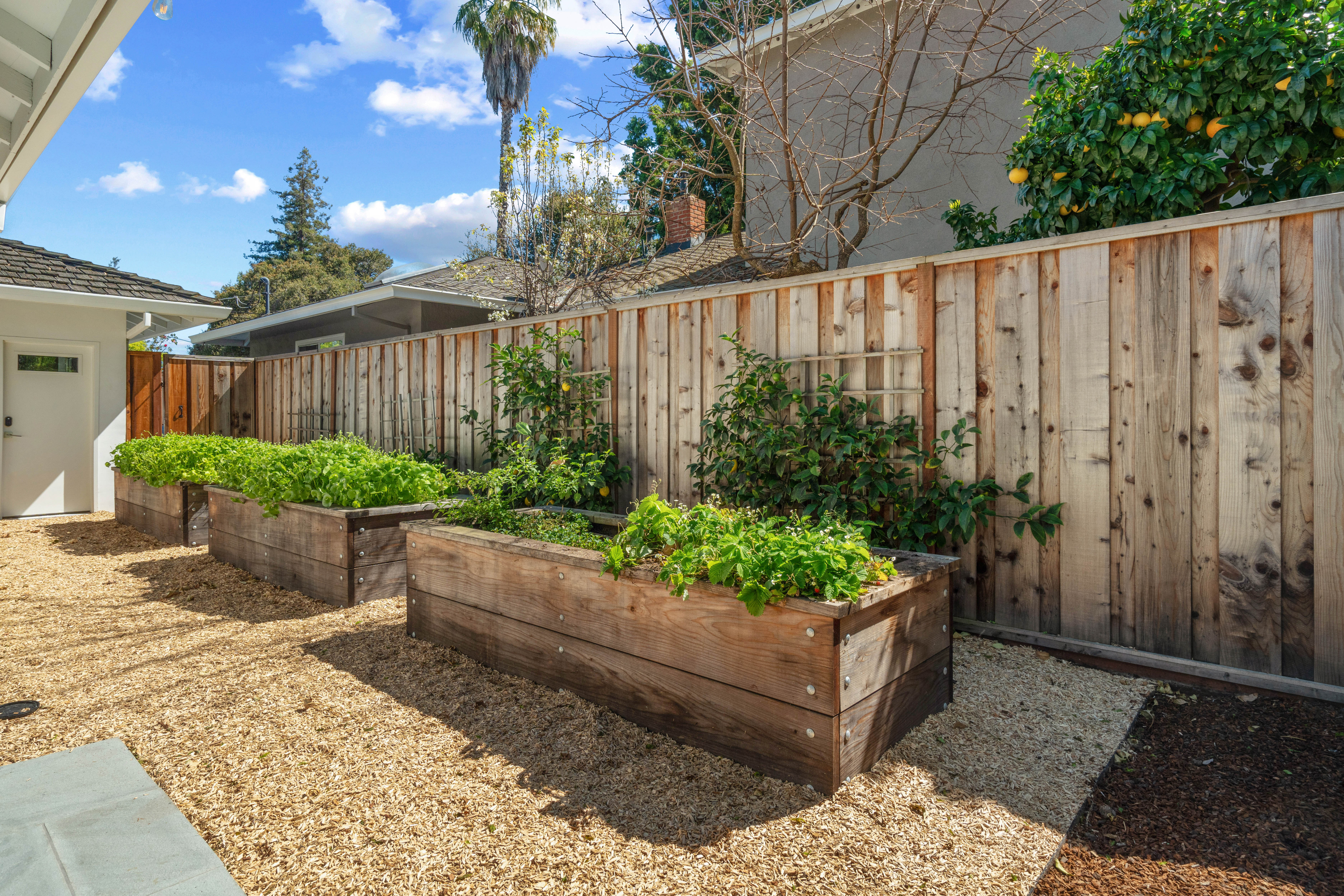 213 Blackburn Avenue 