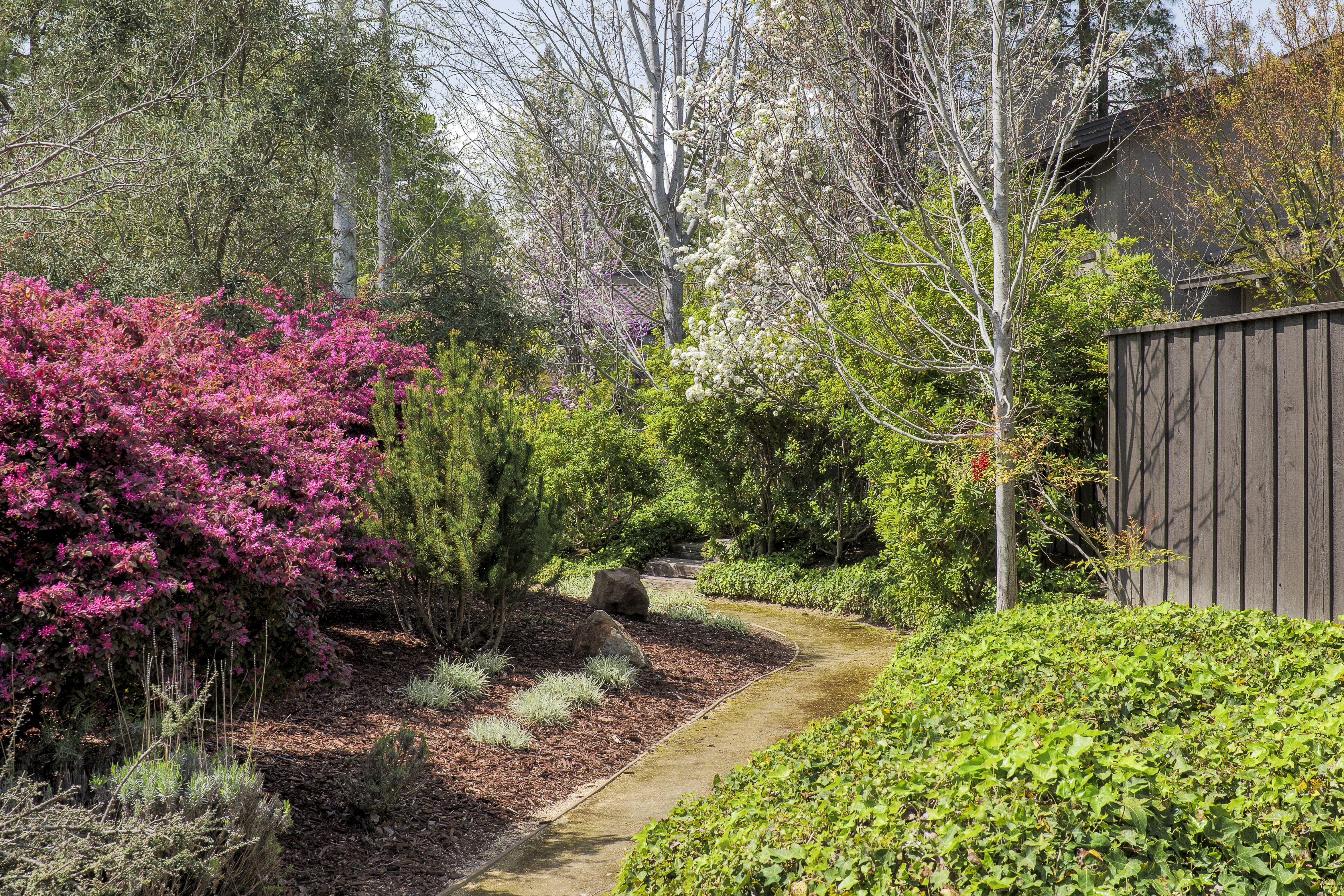 1274 Sharon Park Drive 