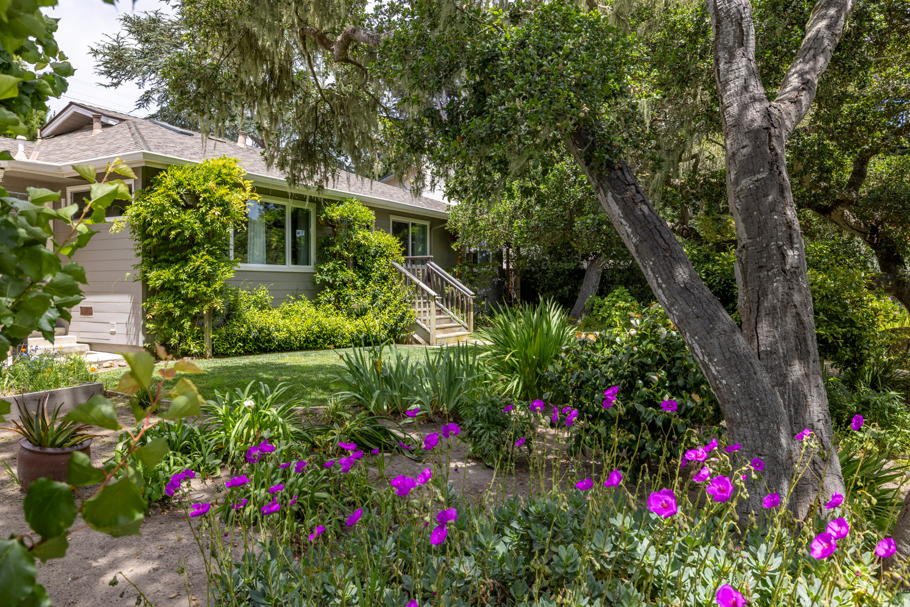 867 Grove Street