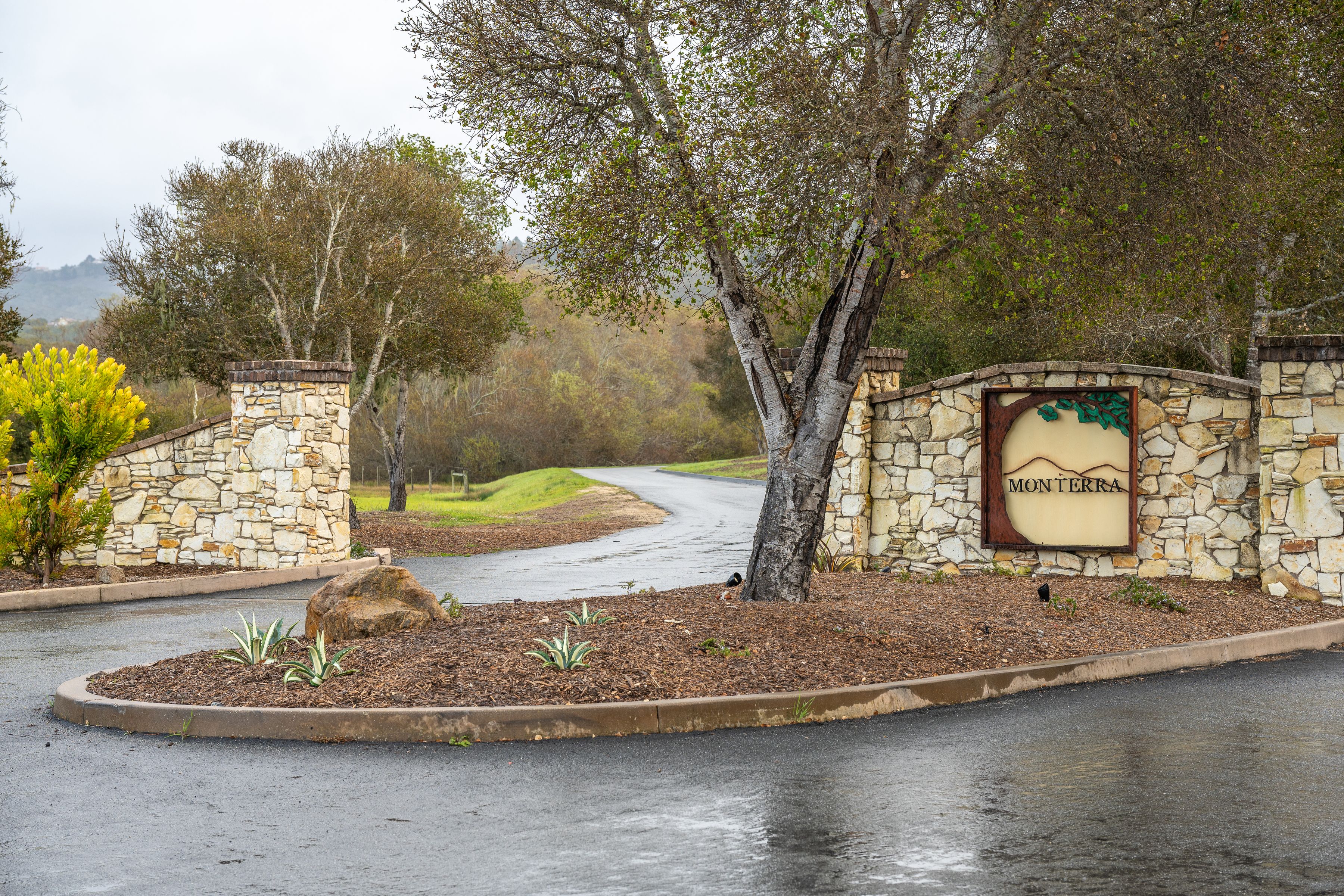 7735 Paseo Venado (Lot 82)