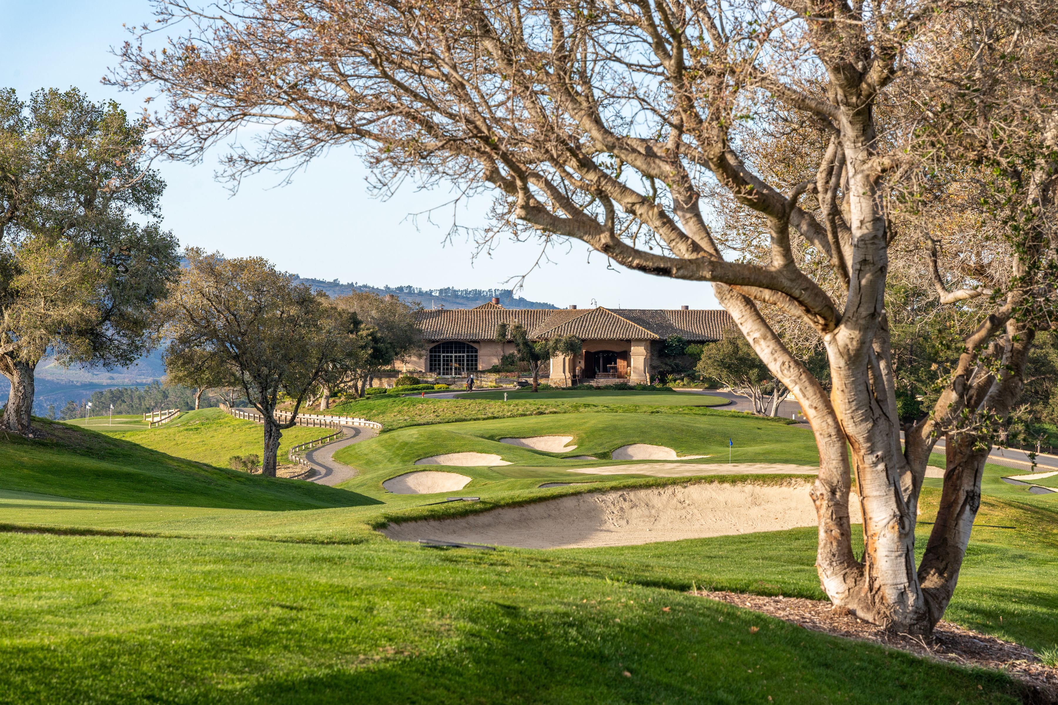 7735 Paseo Venado (Lot 82)