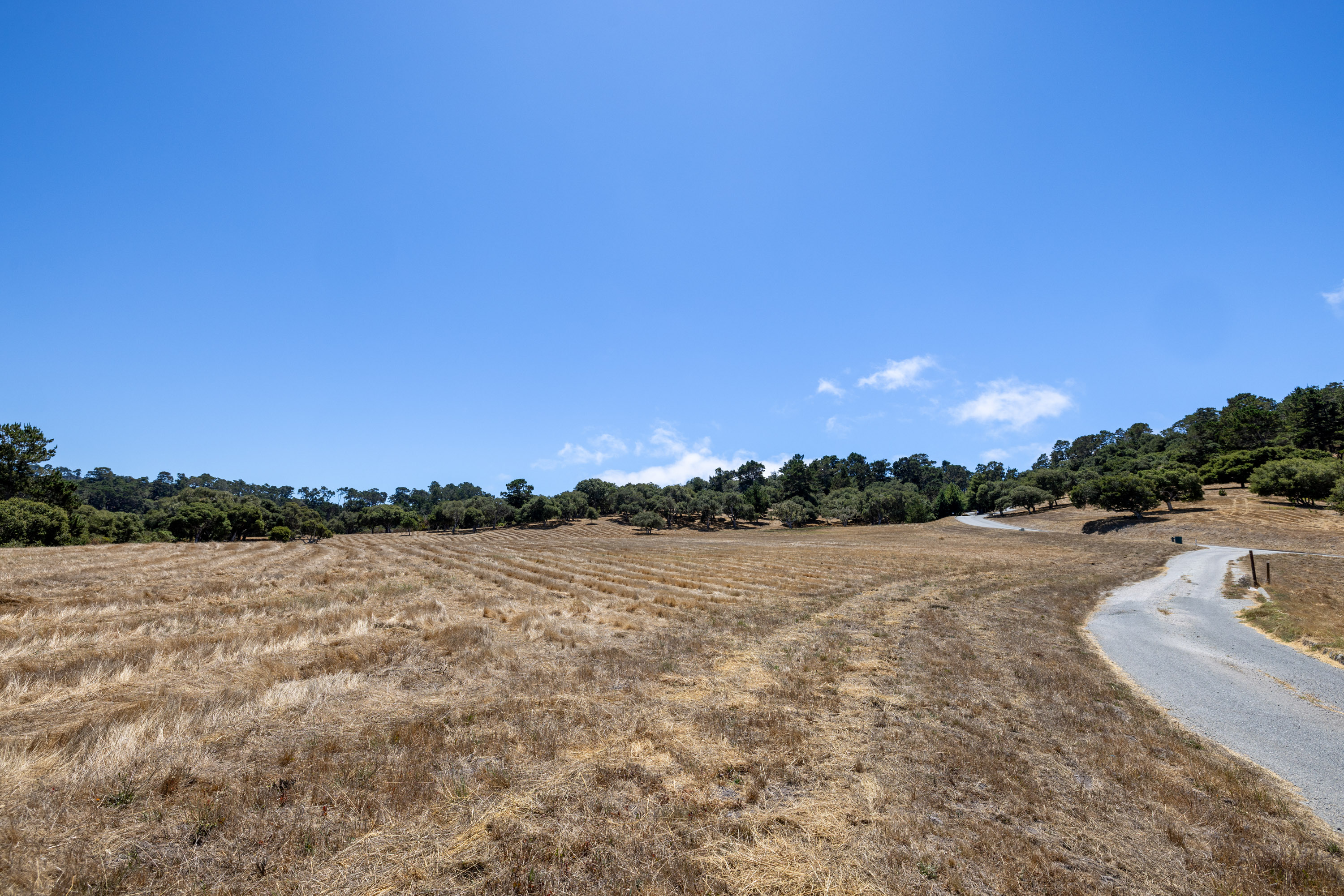 24545 Via Malpaso (Lot 94)