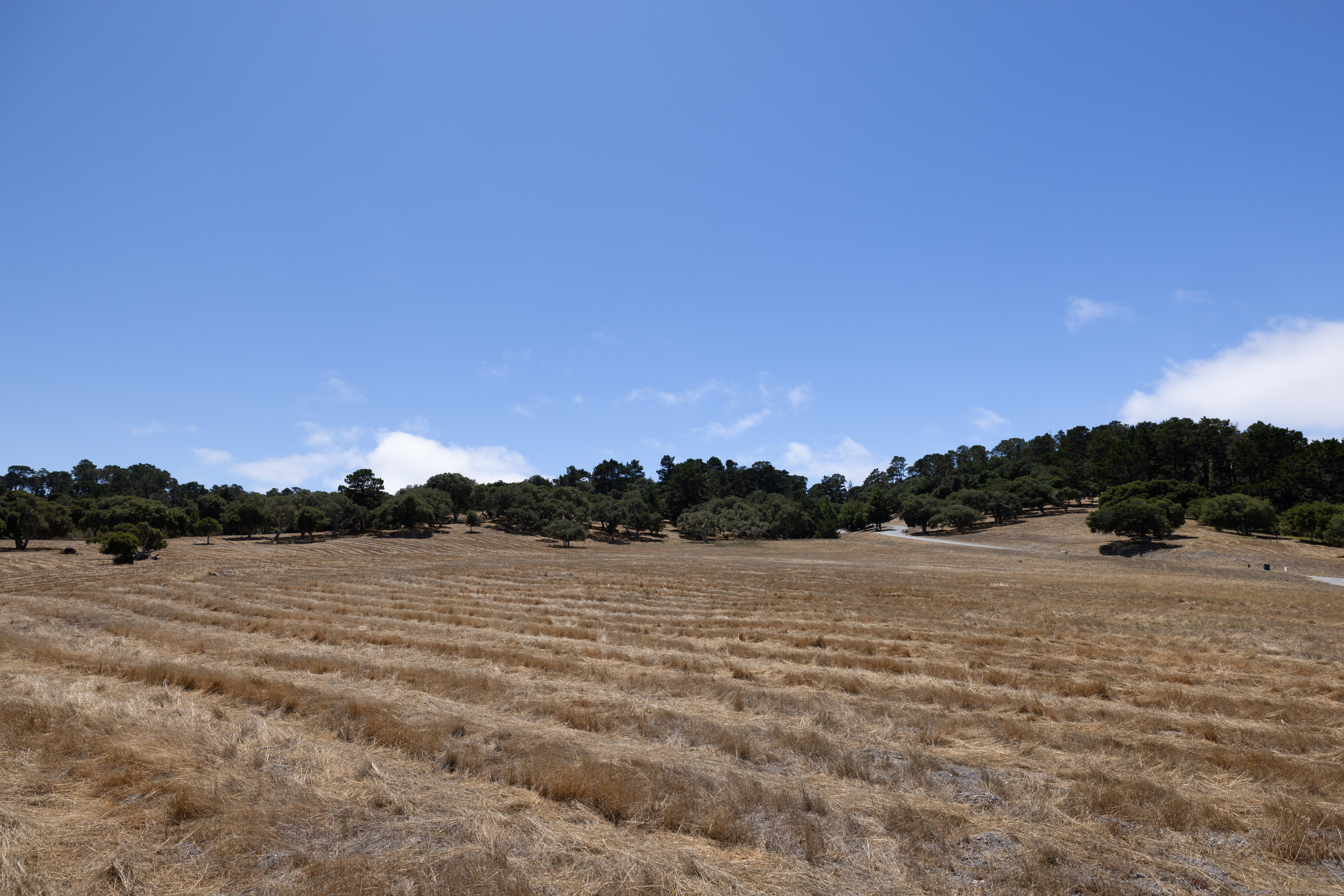 24545 Via Malpaso (Lot 94)