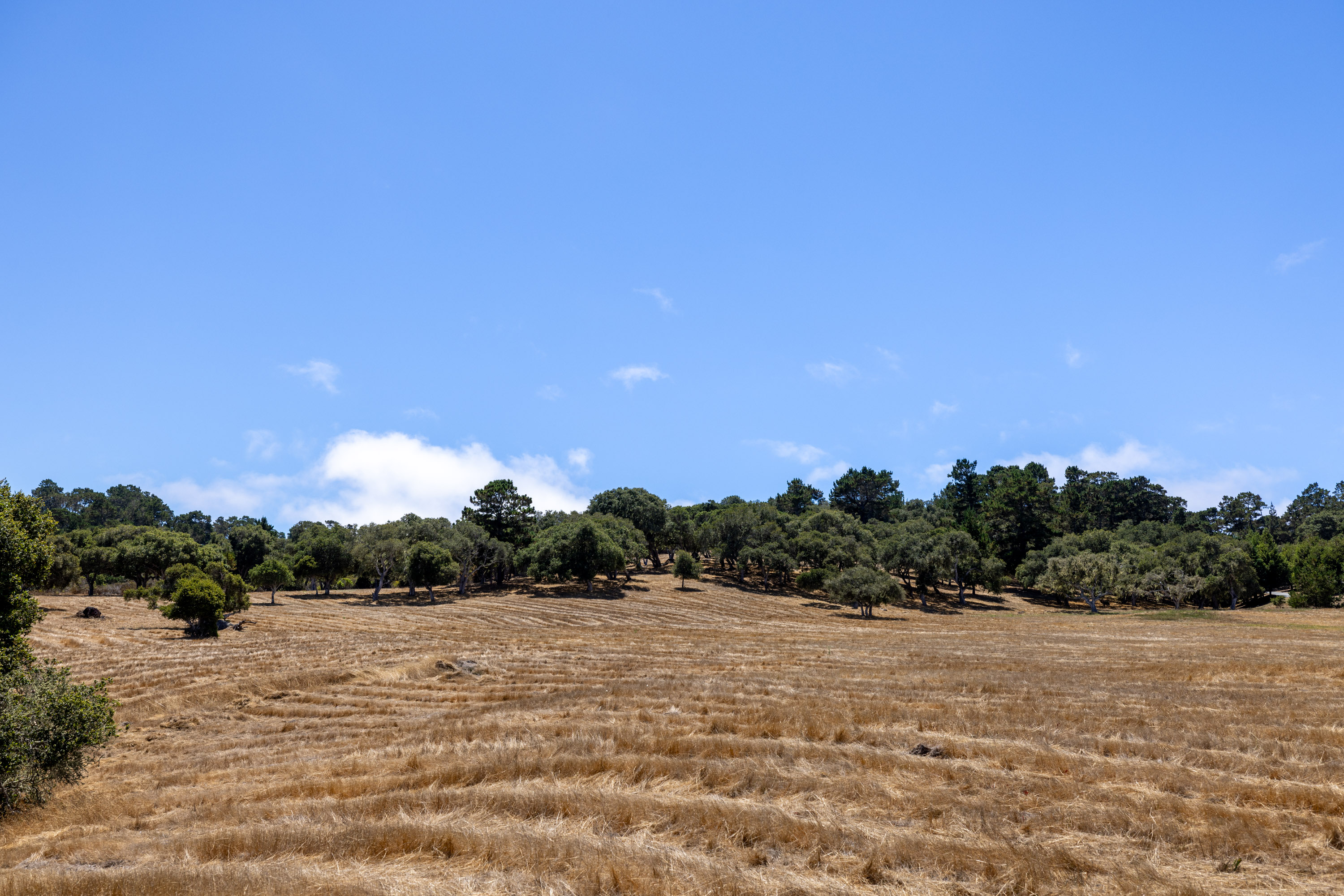 24545 Via Malpaso (Lot 94)