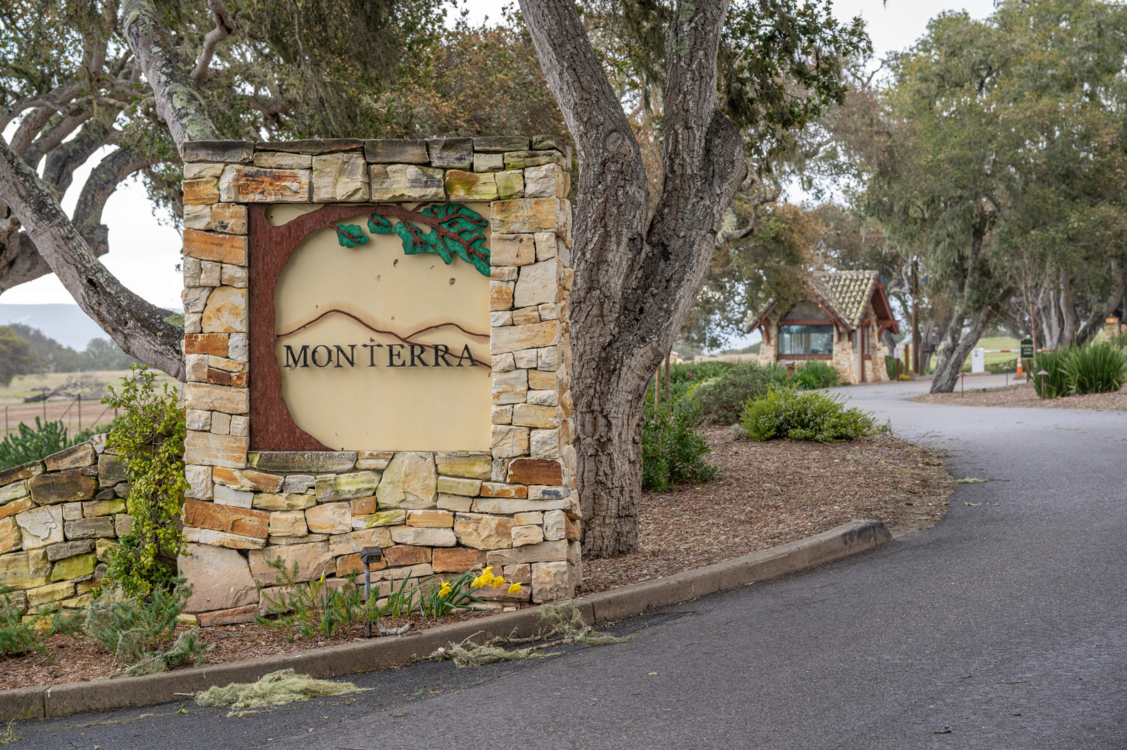 24545 Via Malpaso (Lot 94)